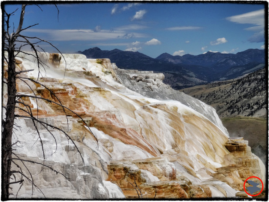 BMP-Post_Expedition-Log_Yellowstone_Mammoth-Hot-Springs2_October-2014.jpg