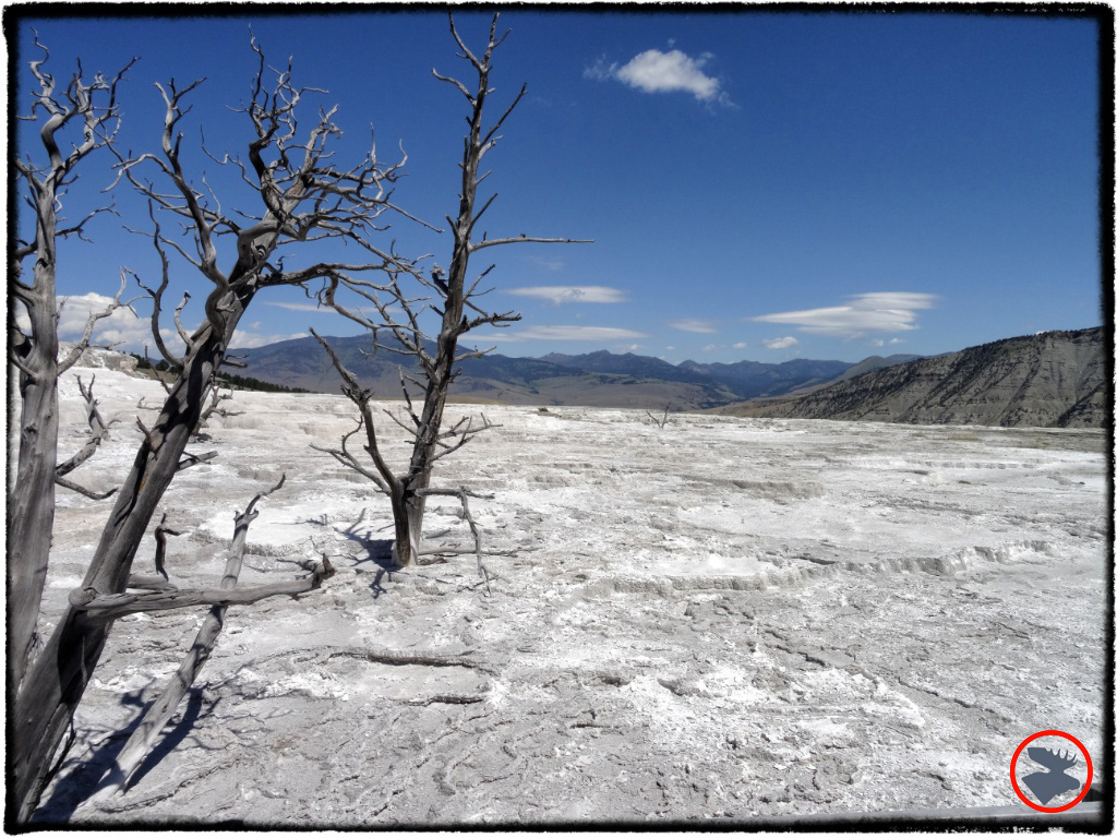 BMP-Post_Expedition-Log_Yellowstone_Mammoth-Hot-Springs3_October-2014.jpg