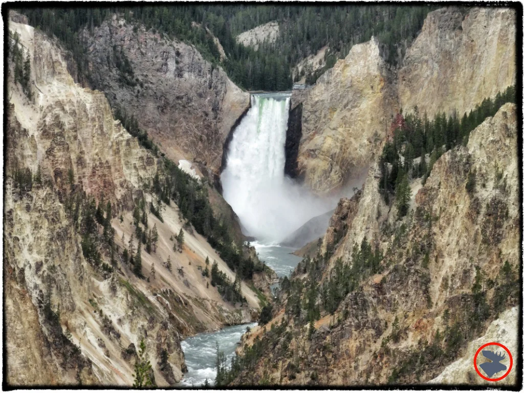 Yellowstone: Cliché Family Summer Vacation? No Way!