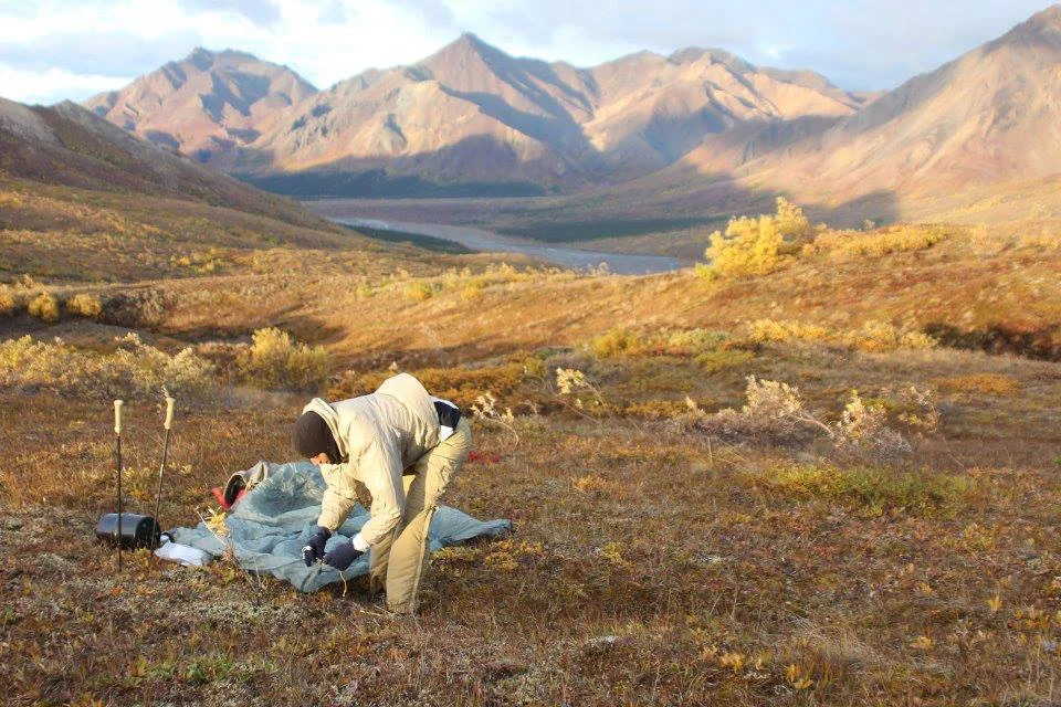 Alaska OffTrail Backcountry Backpacking in Denali National Park