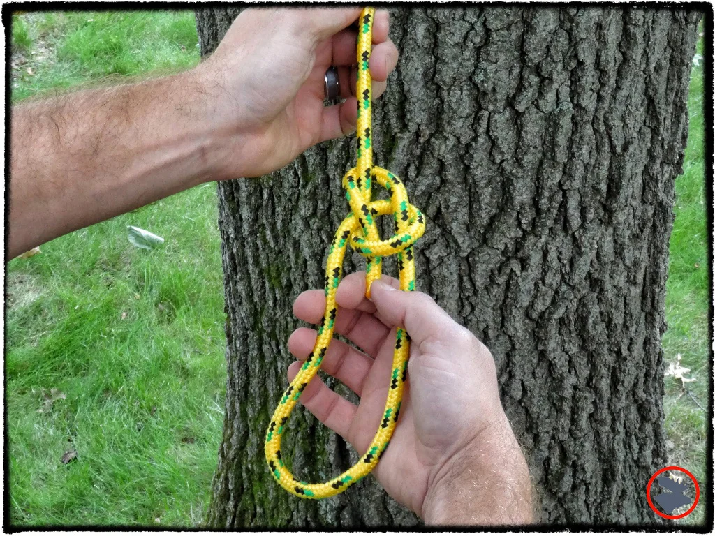 Bowline: The King of Knots Re-examined