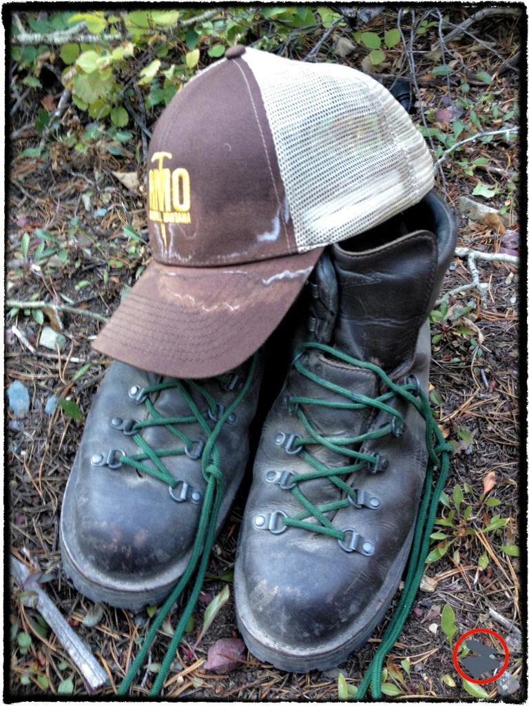Danner Mountain Light II Boots