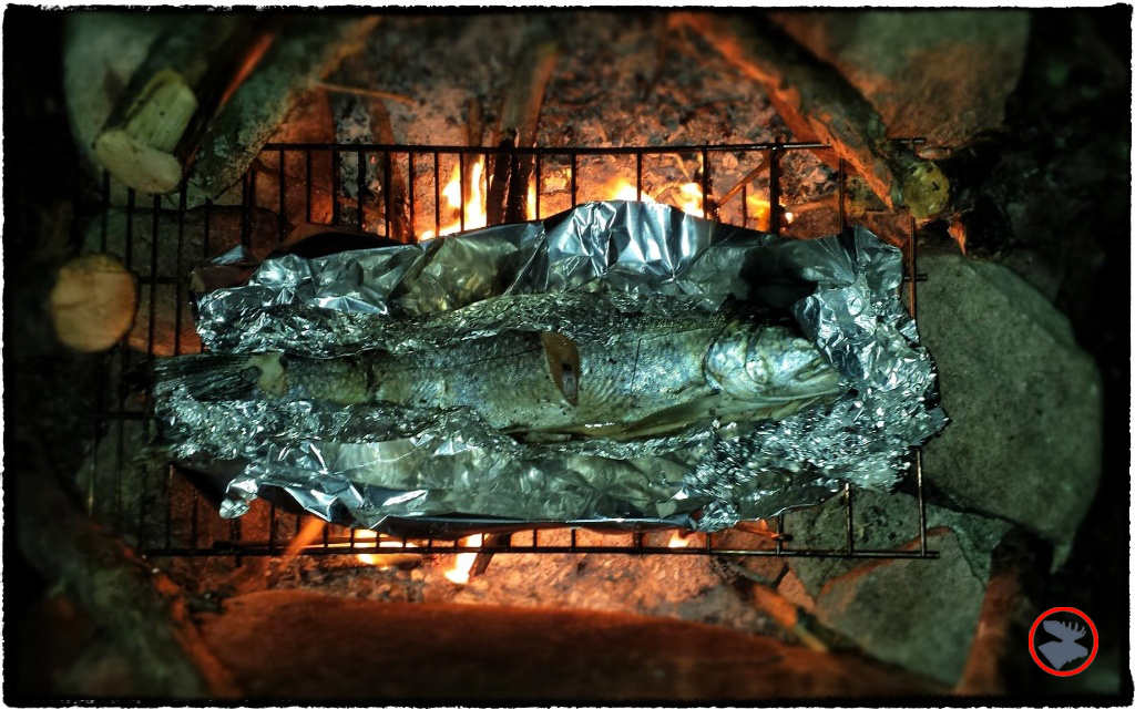 BMP-Post_Expedition-Log_Quetico-_Trout-on-grill_August-2015.jpg