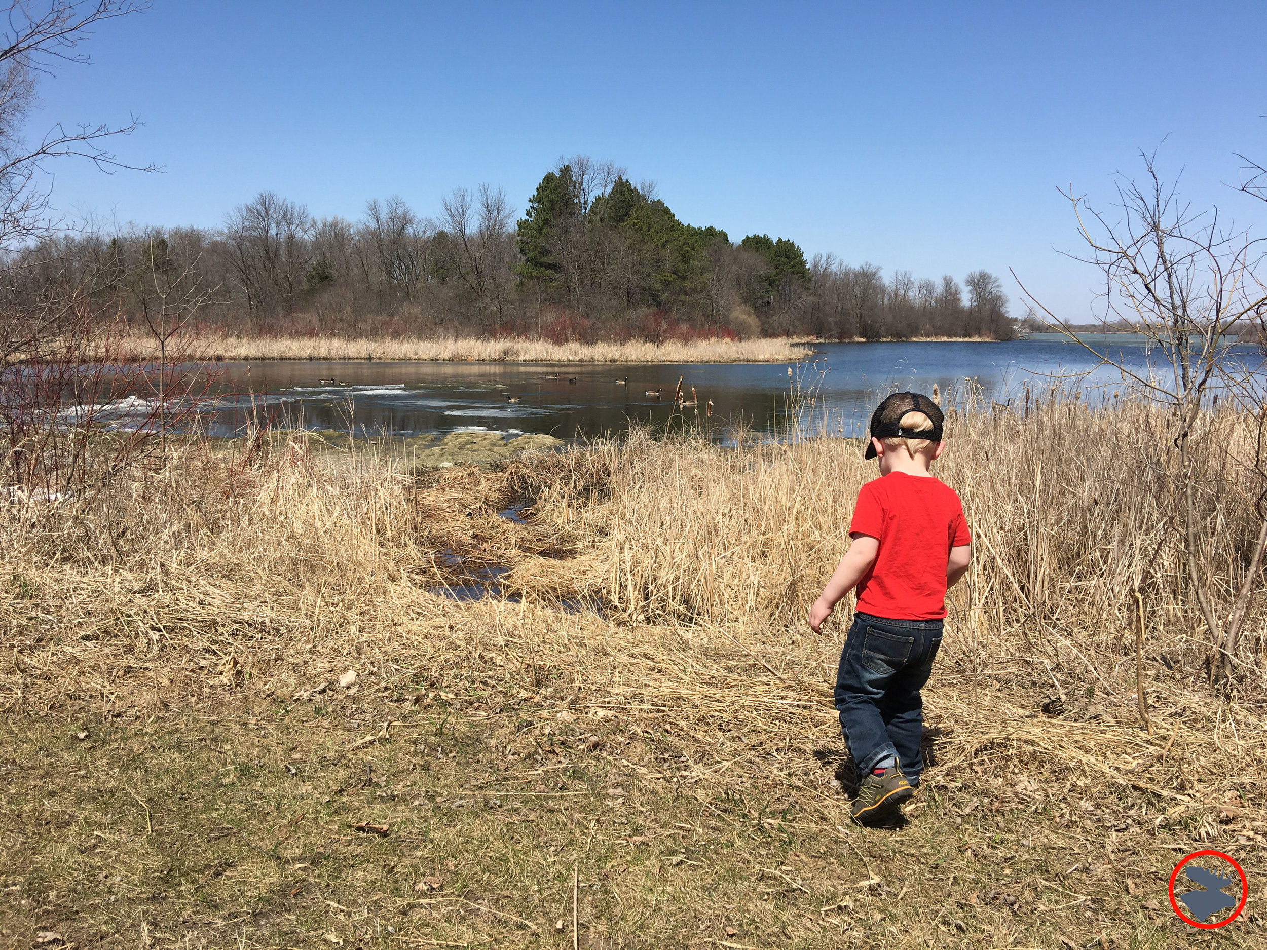 BMP-Post_Expedition-Log_Backpacking-with-Toddlers_Hiking(W)_June-2018.jpg