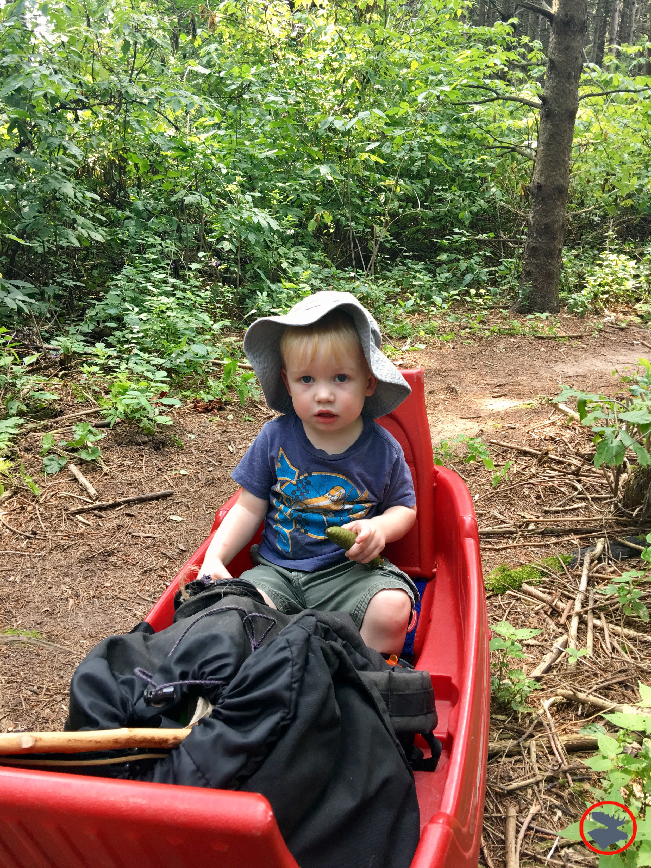 BMP Post_Expedition Log_Backpacking with Toddlers_Wagon1(W)_June 2018.jpg