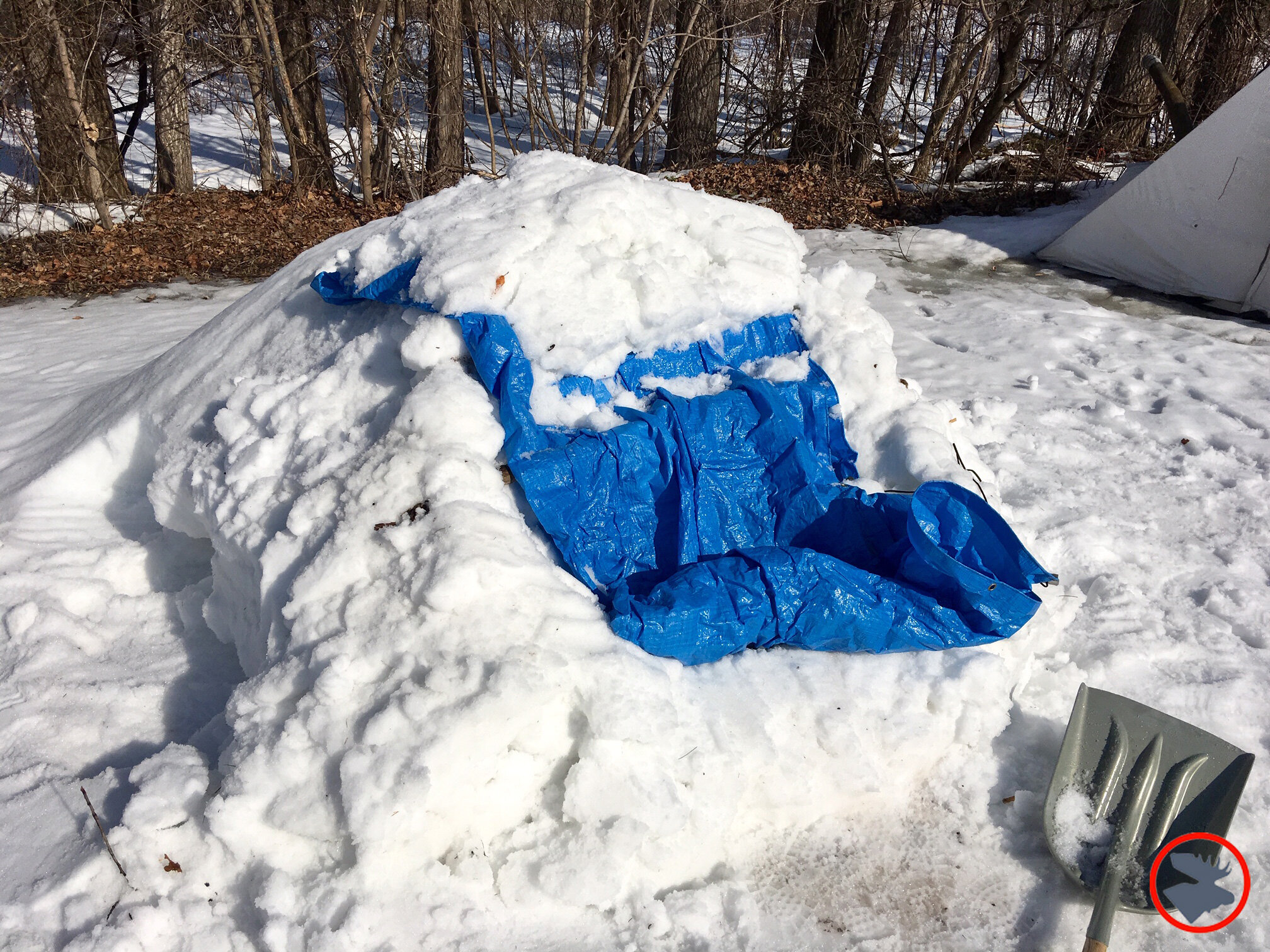 Snow Shelters: Why We Don't Build Igloos In The Forest