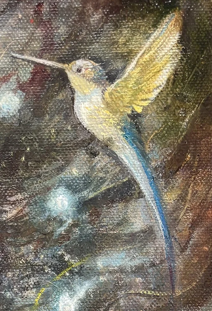 MARY ANCILLA MARTINEZ_BIRD CLOSEUP.jpg