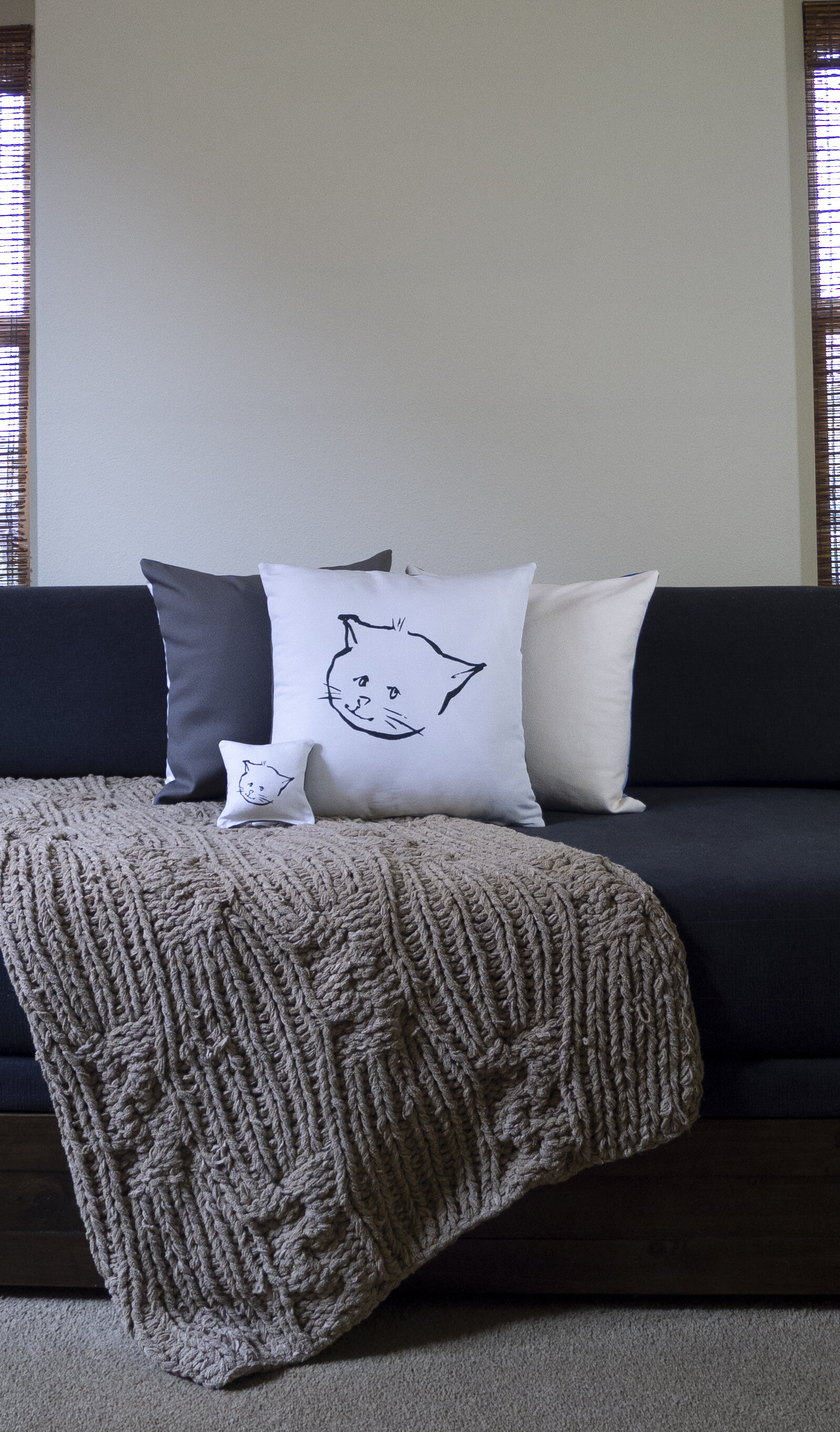 Shop Throw Pillow Covers