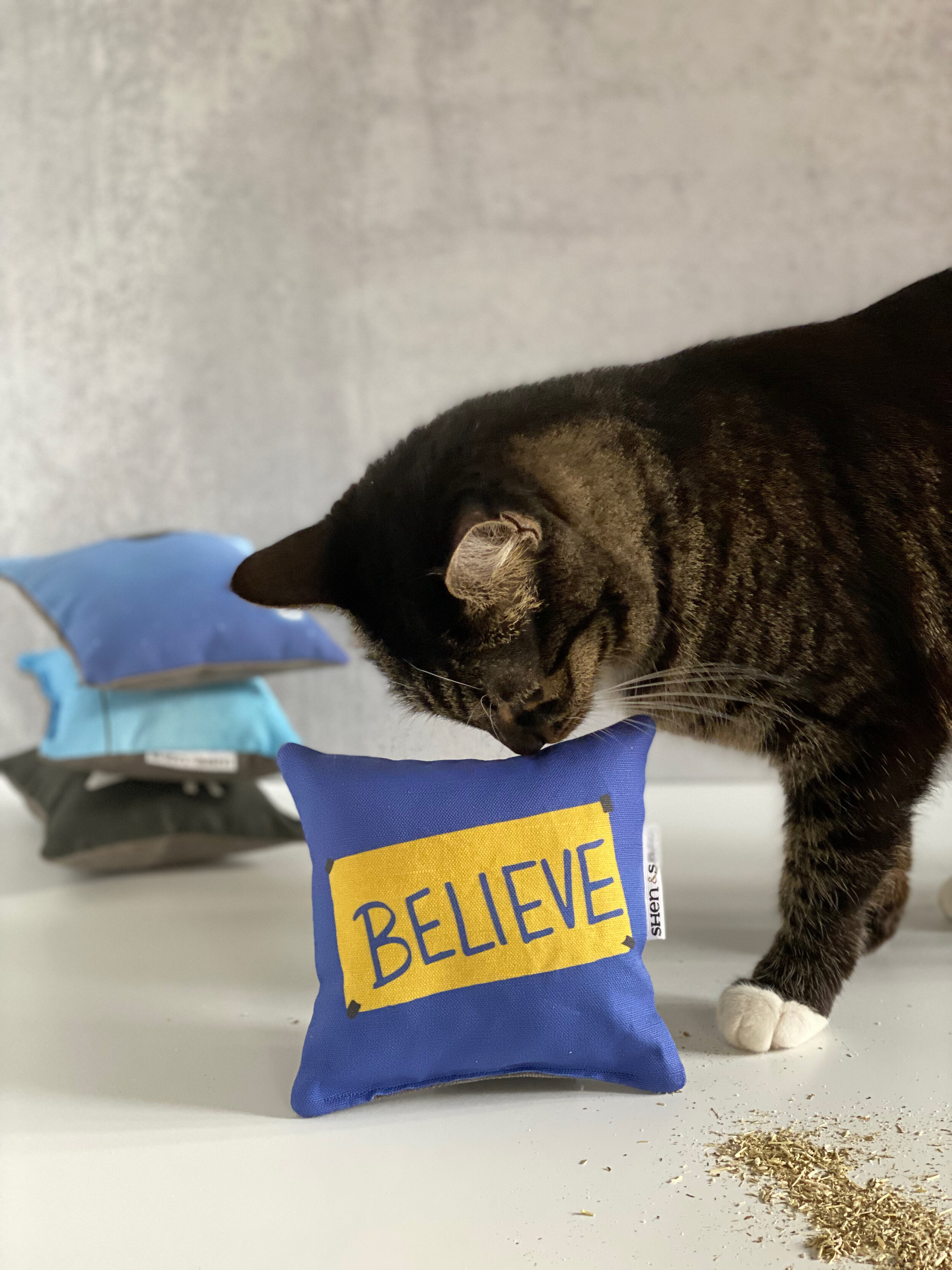 Shop Catnip Pillows