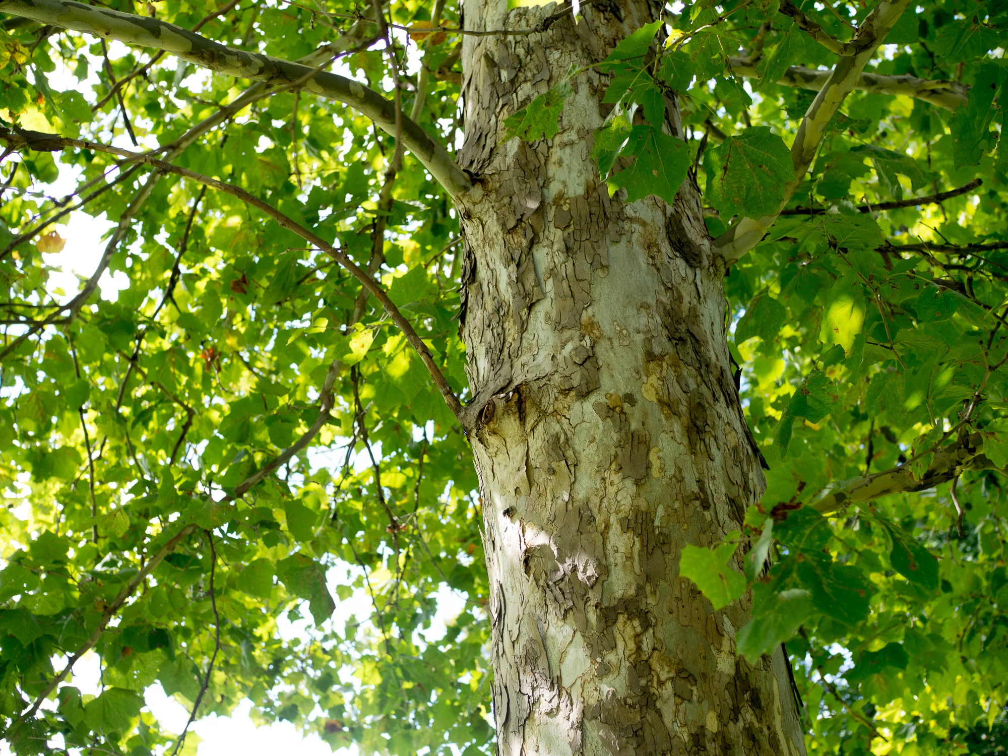 Experience the Data: Parks Edition Tour Photos