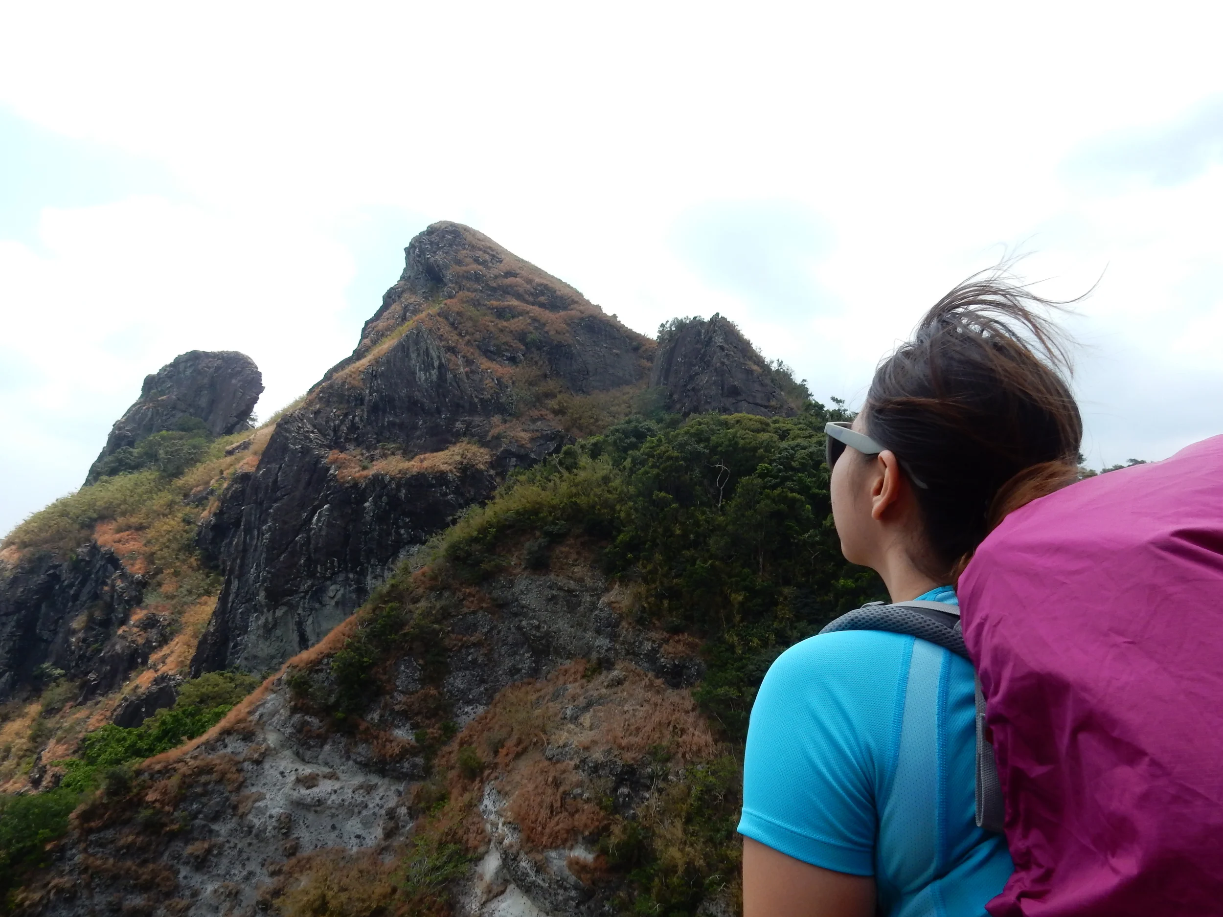 pICO DE LORO