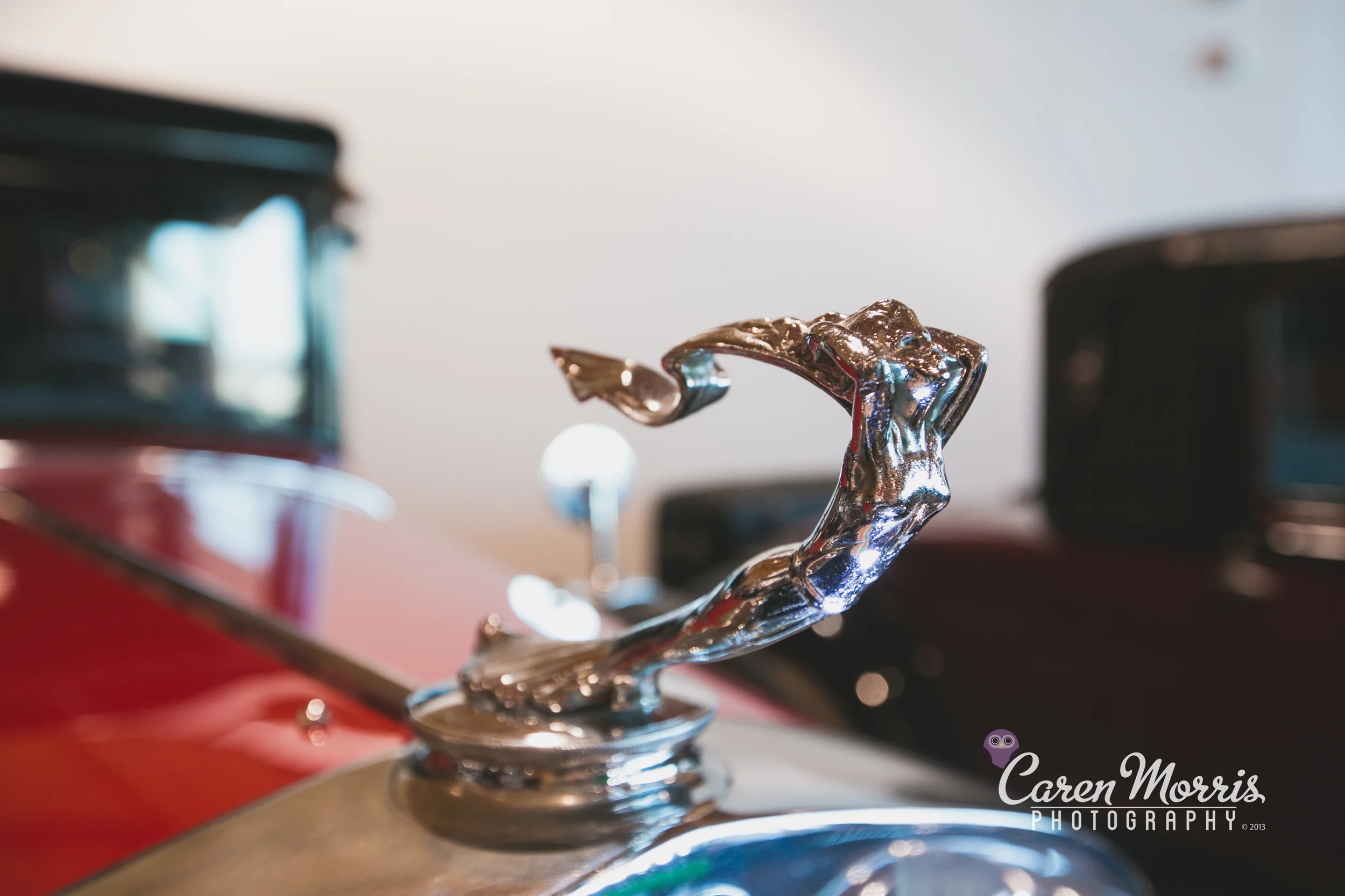 Dinner d'Elegance Event Photography | Event at Le May Museum | Tacoma, Washington