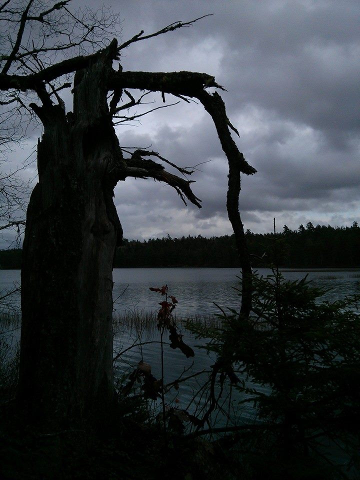 CLOC Trail - lake.jpg