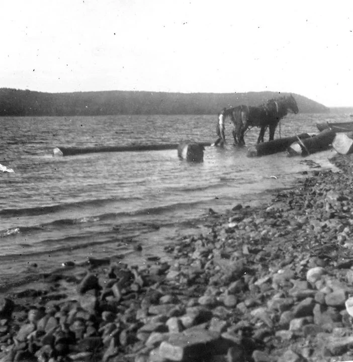 Logging at Indian Point Grand Lake C1950.jpg
