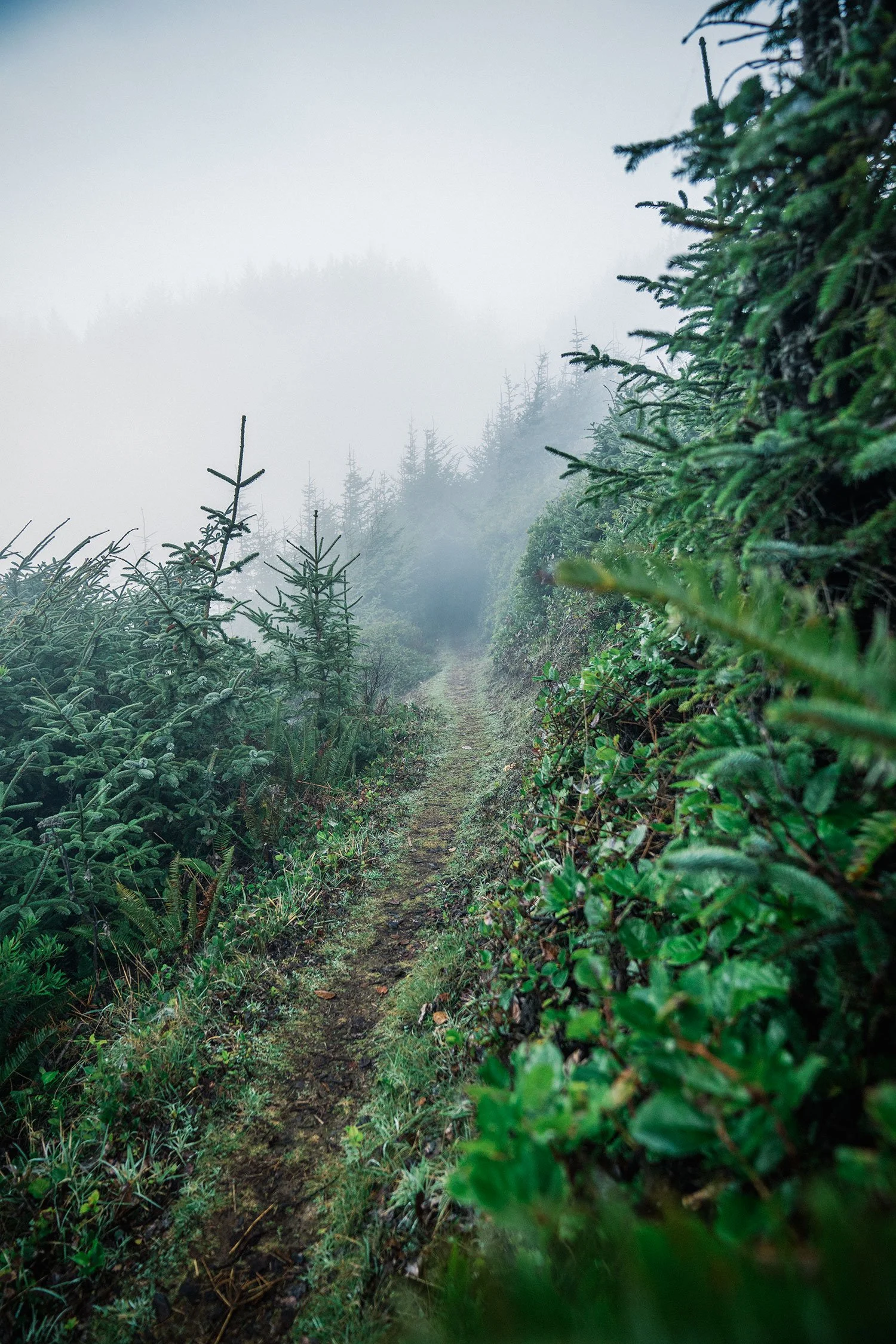  ©2021 Kevin Layton Photography 