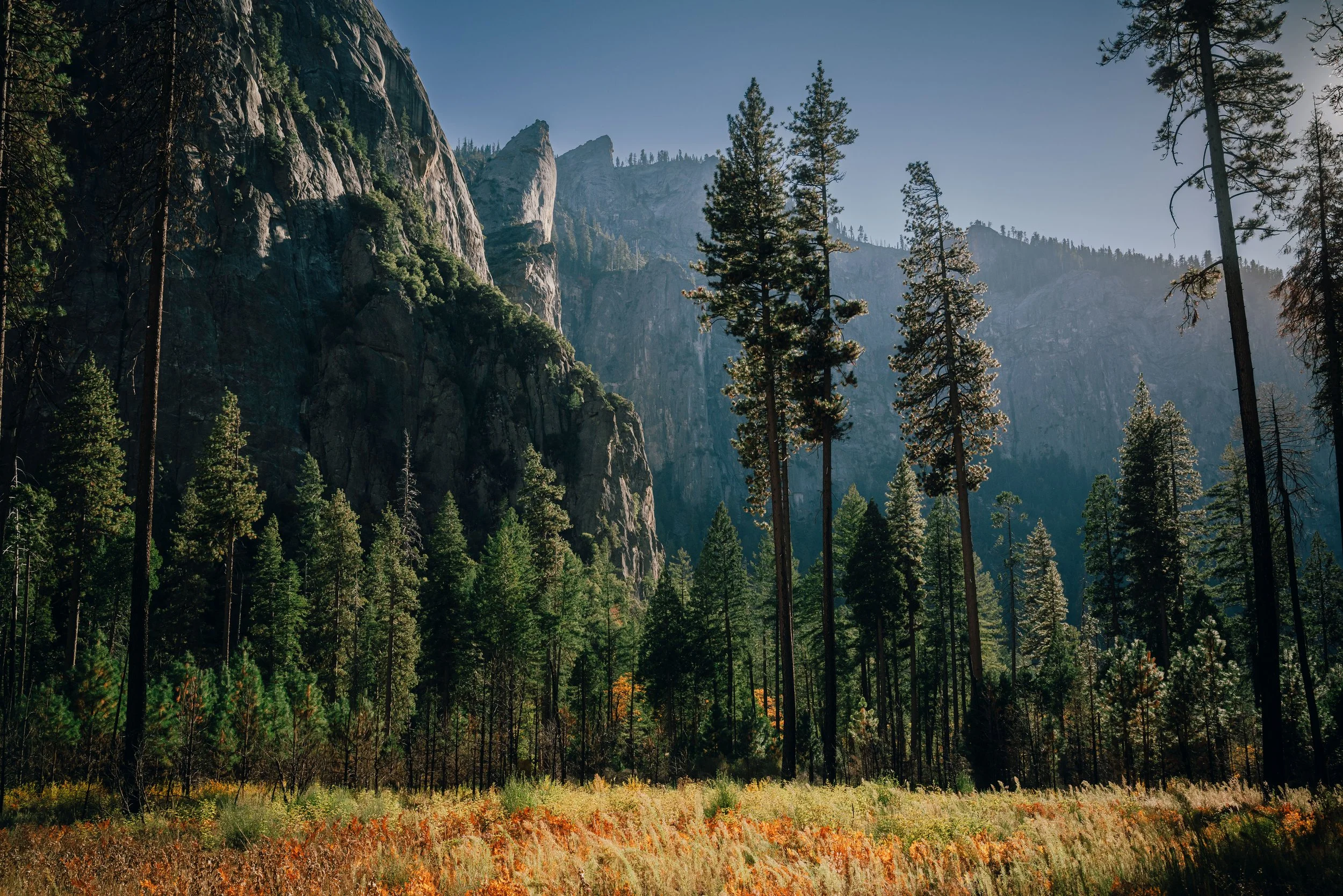 Yosemite_National_Park_201.jpg