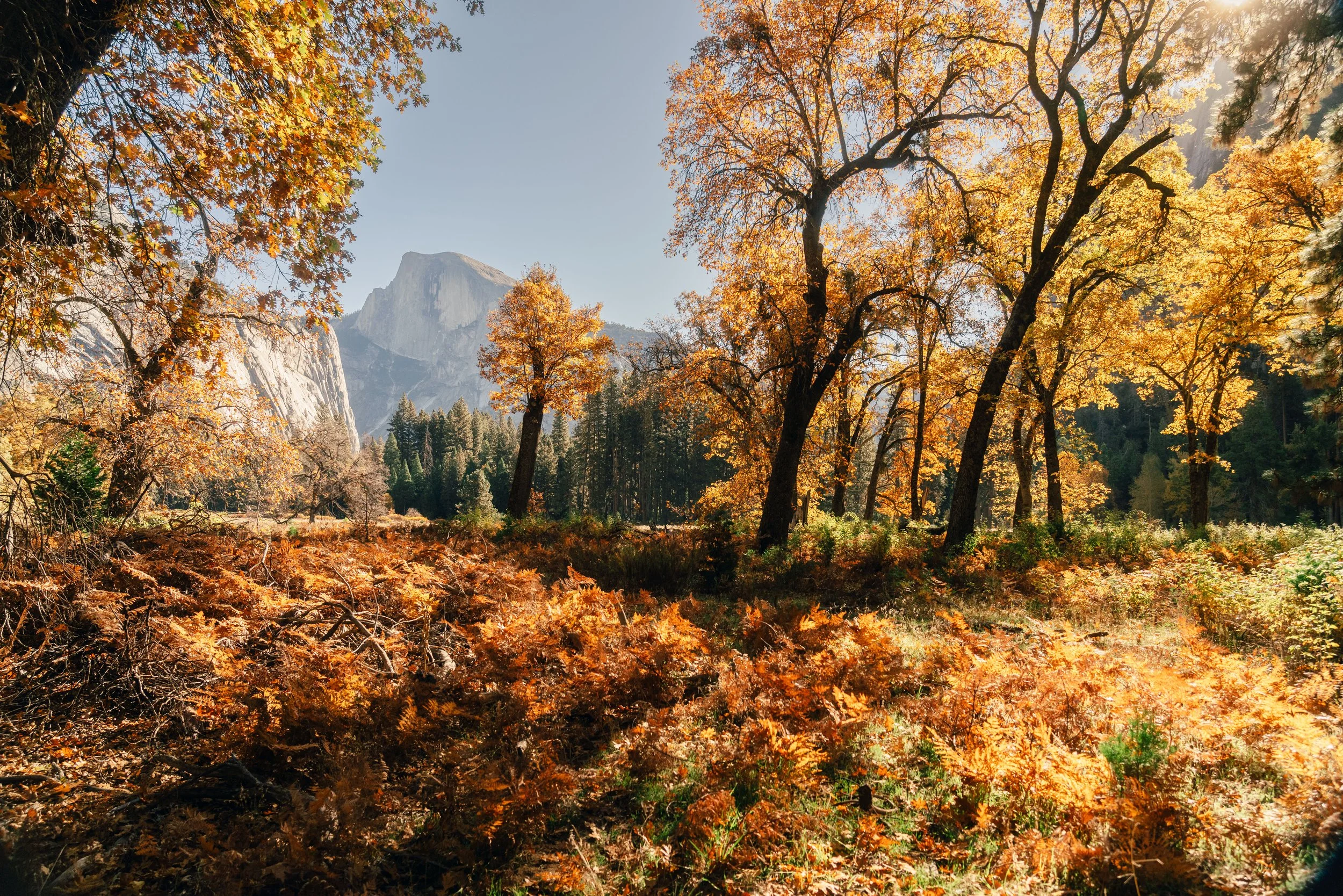 Yosemite_National_Park_083.jpg