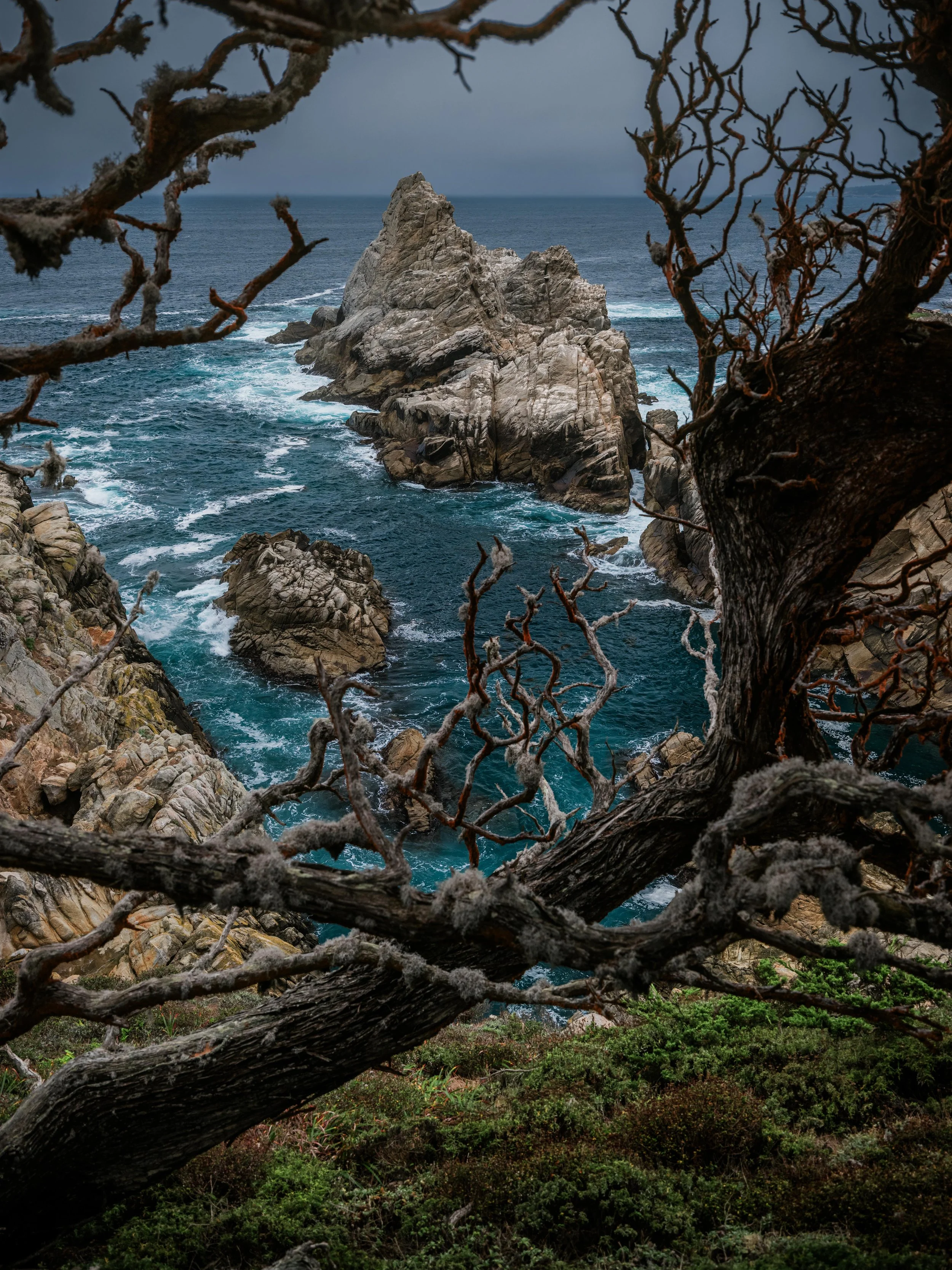 25_Fuji_Monterey, California_162.jpg