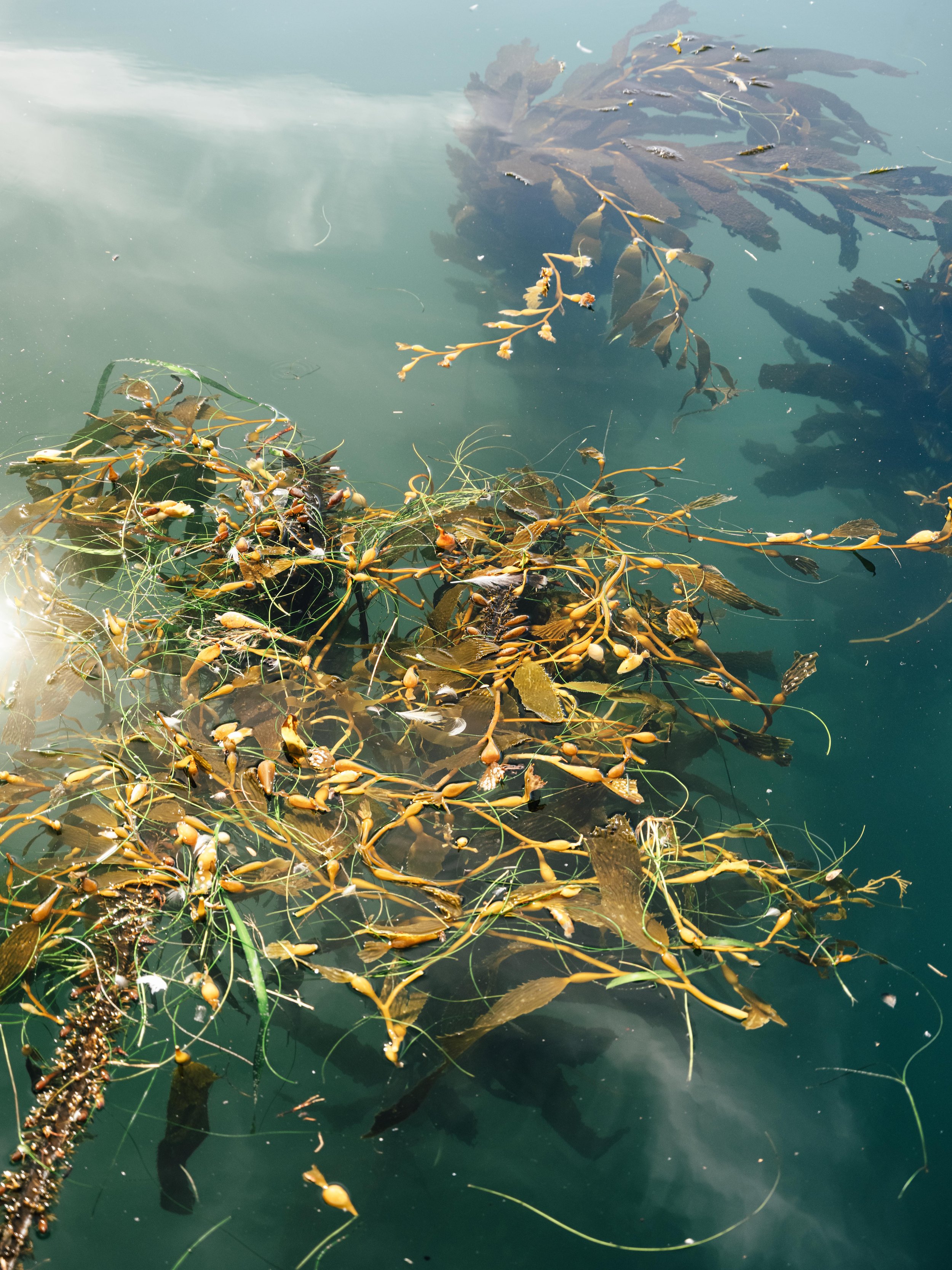 25_Fuji_Monterey, California_076.jpg