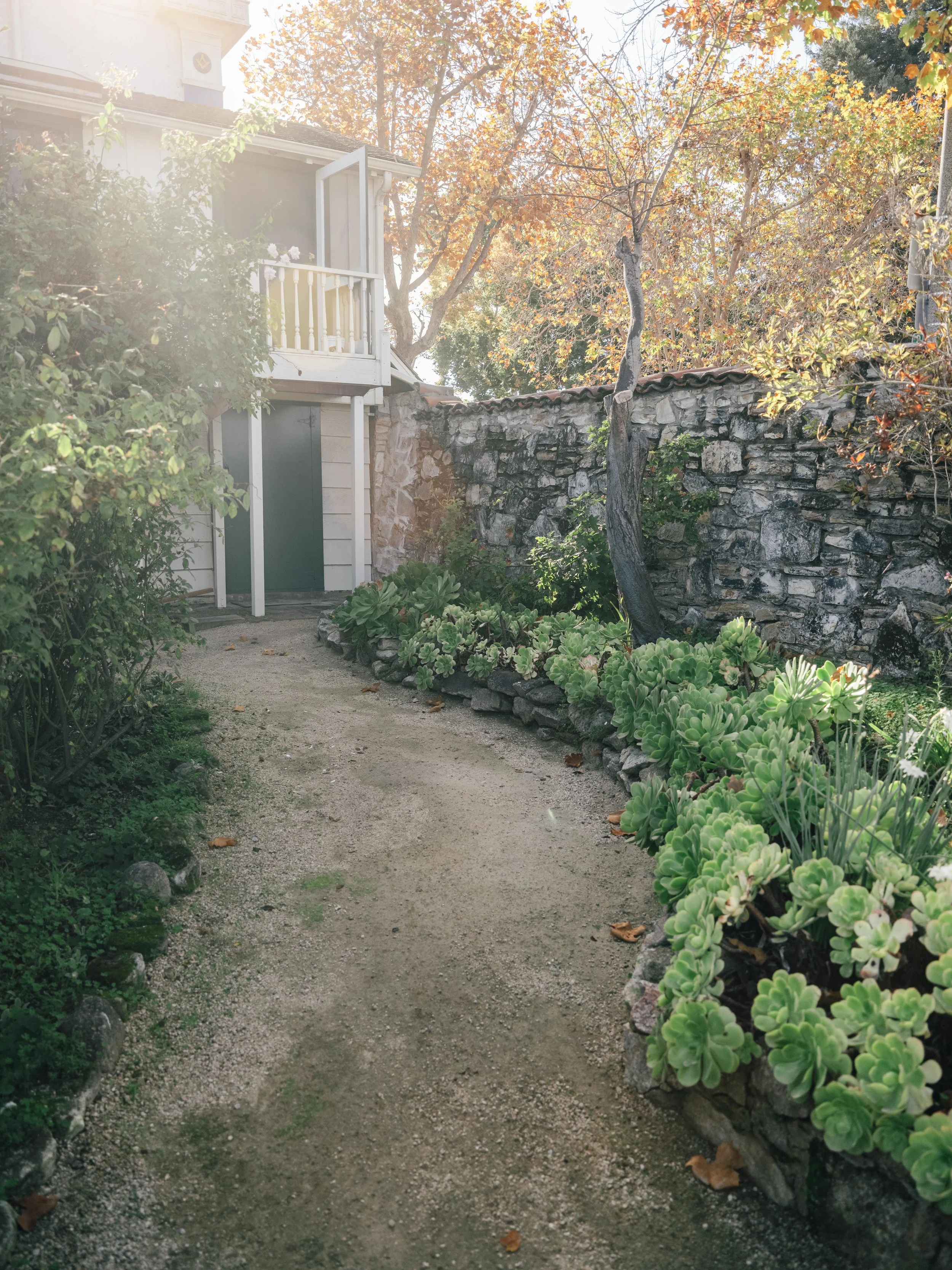 25_Fuji_Monterey, California_111.jpg