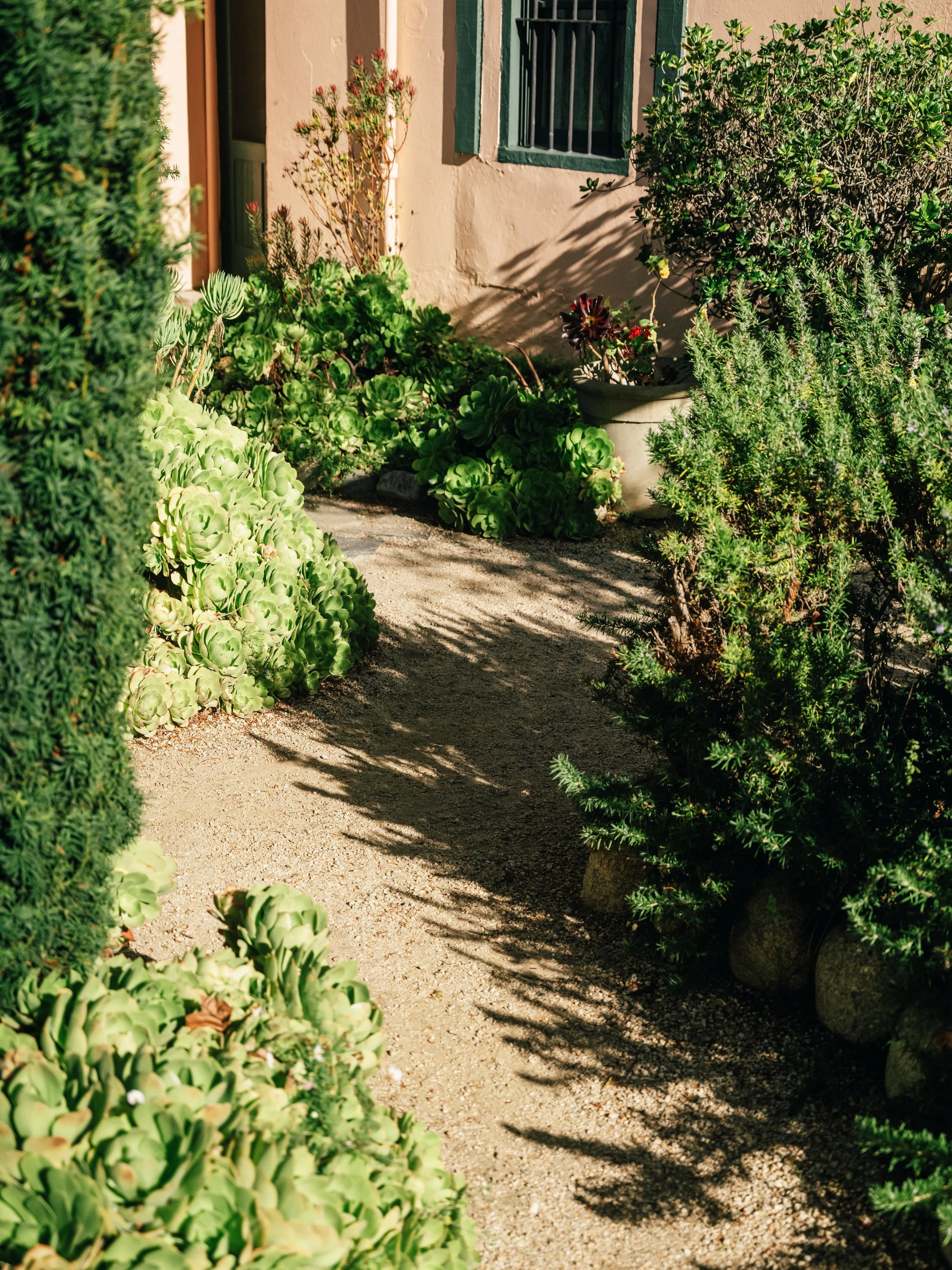 25_Fuji_Monterey, California_116.jpg