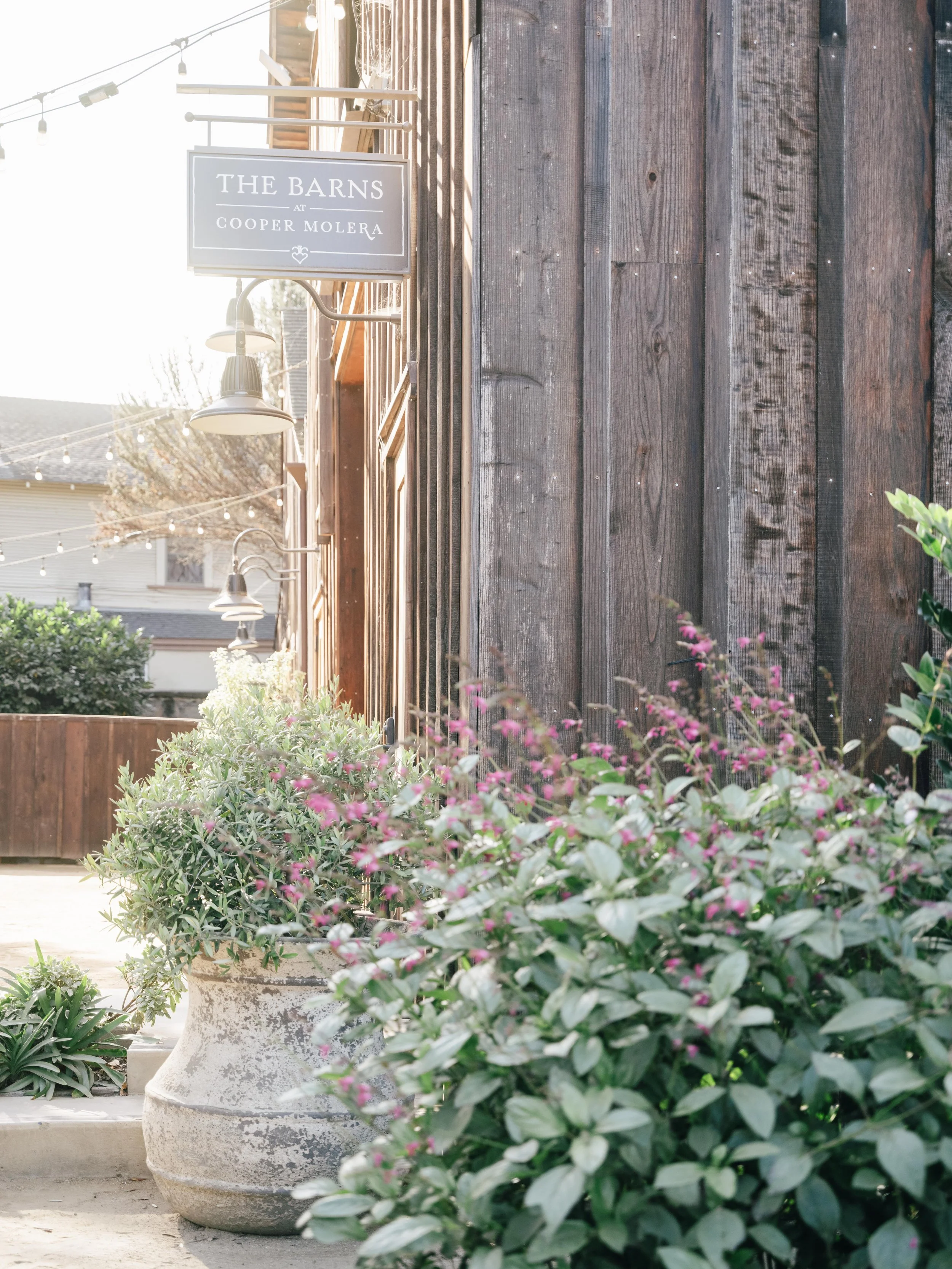 25_Fuji_Monterey, California_123.jpg