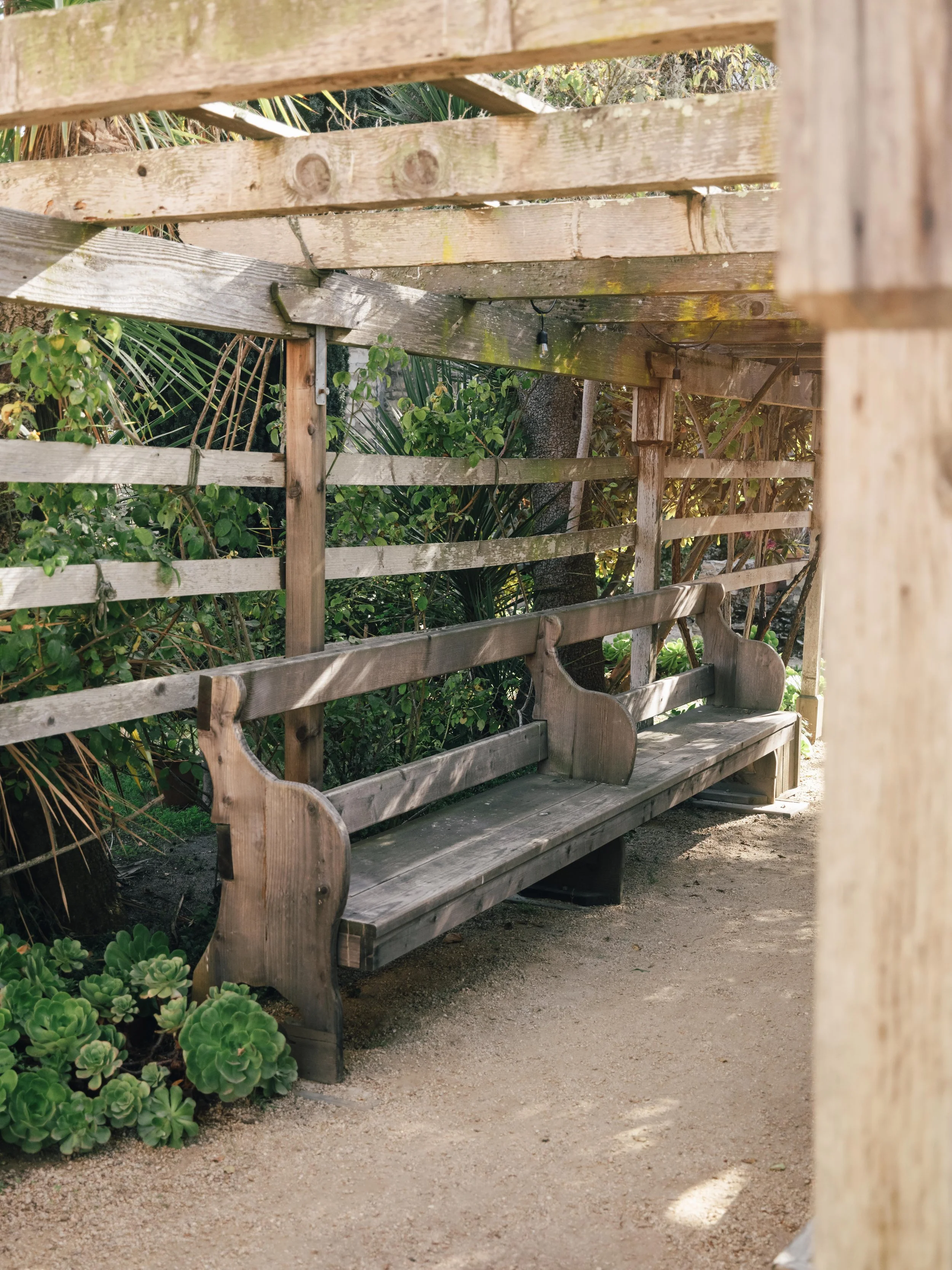 25_Fuji_Monterey, California_117.jpg