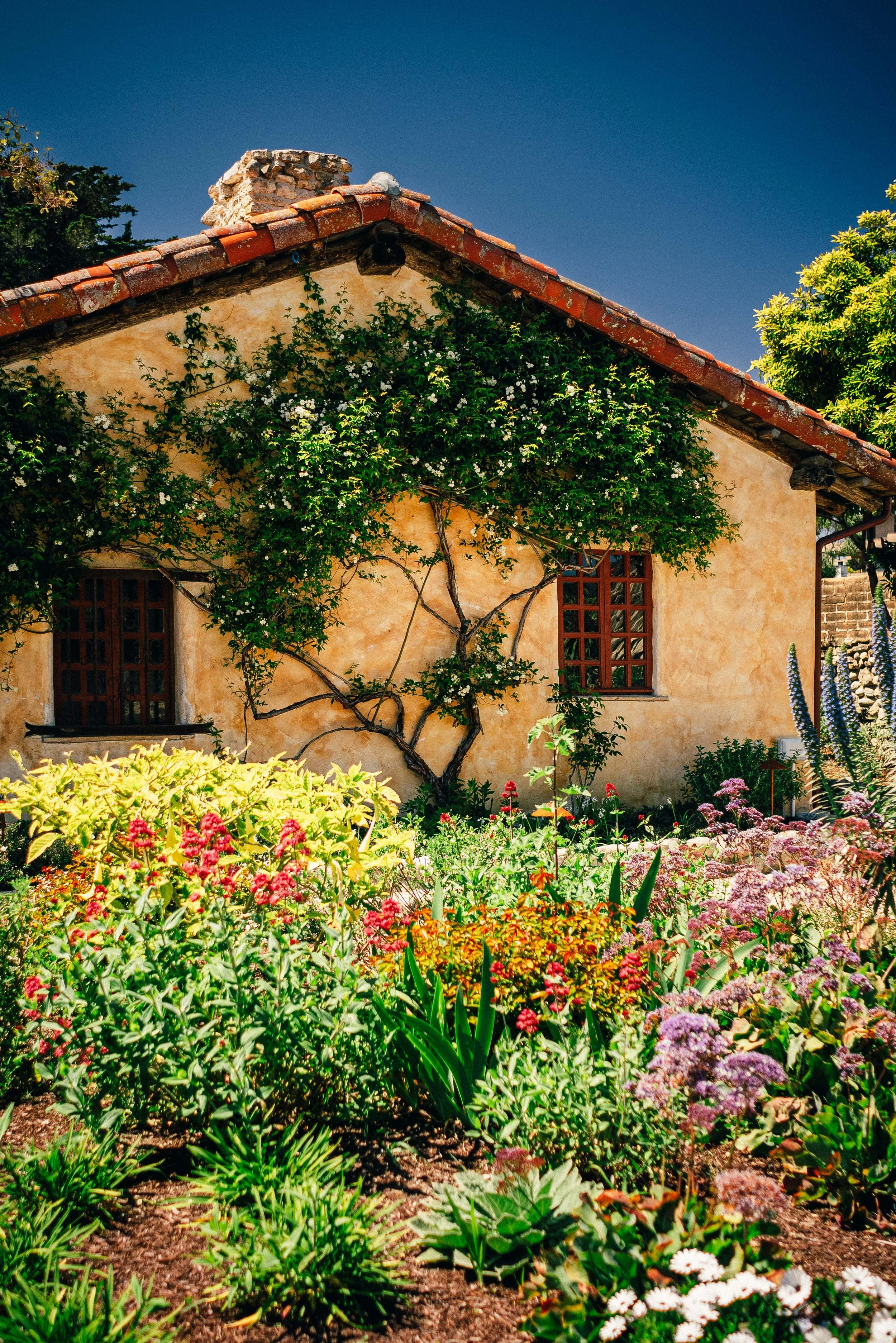 Monterey_0004.jpg