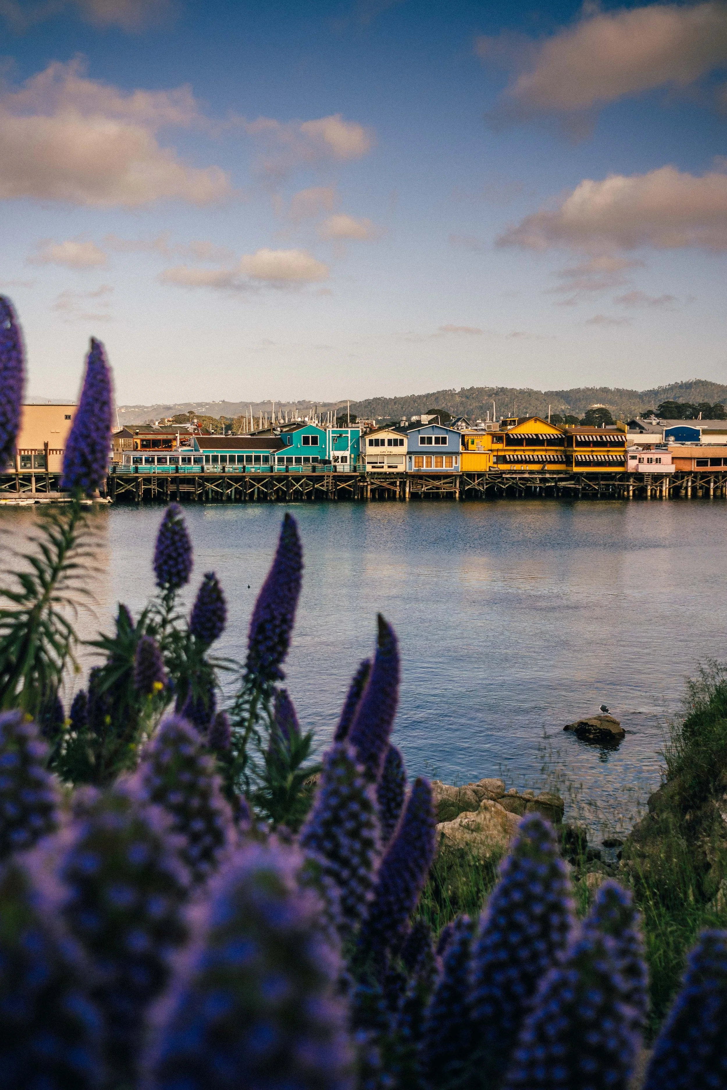 Monterey_0021.jpg