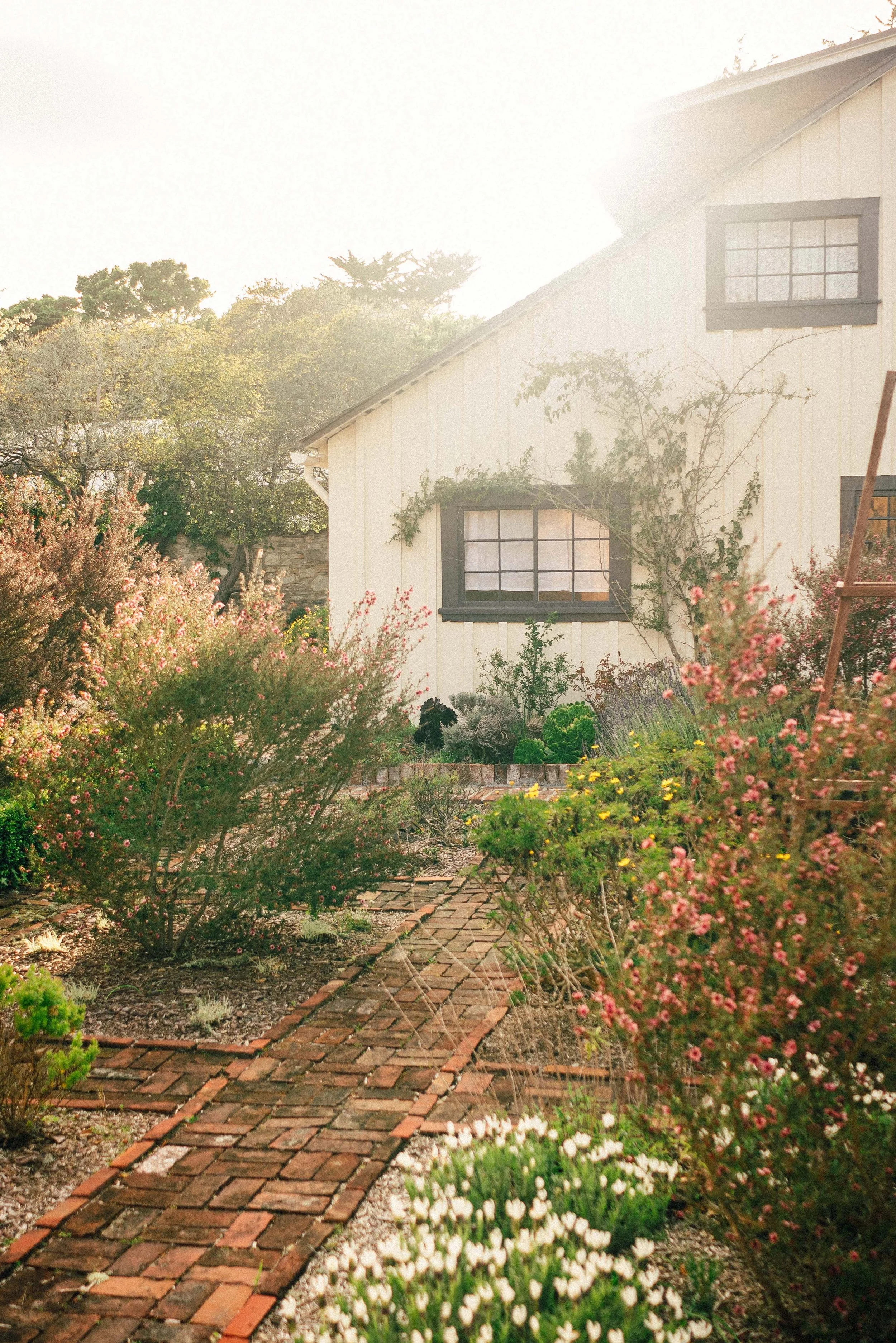 Monterey_0025.jpg