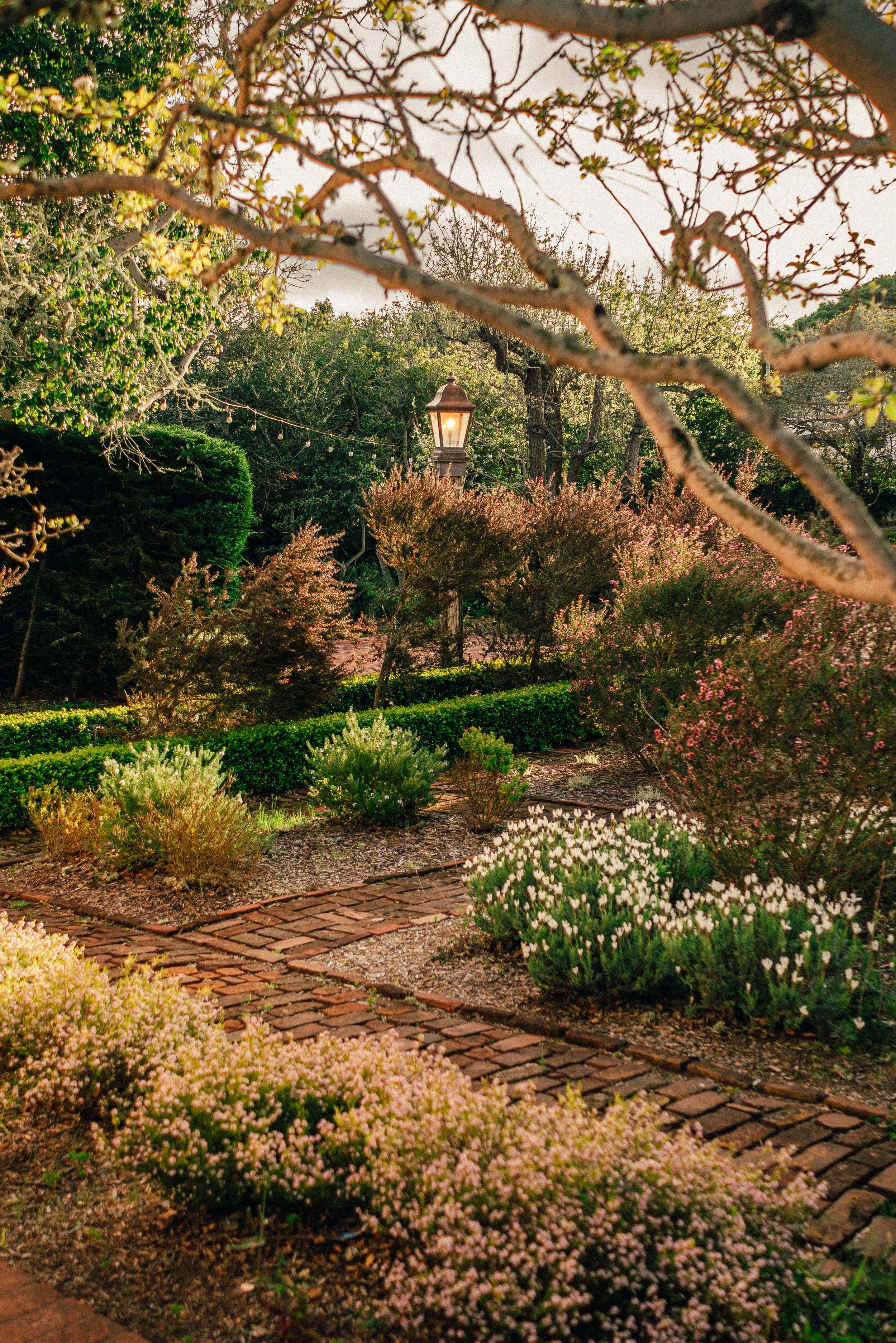 Monterey_0028.jpg
