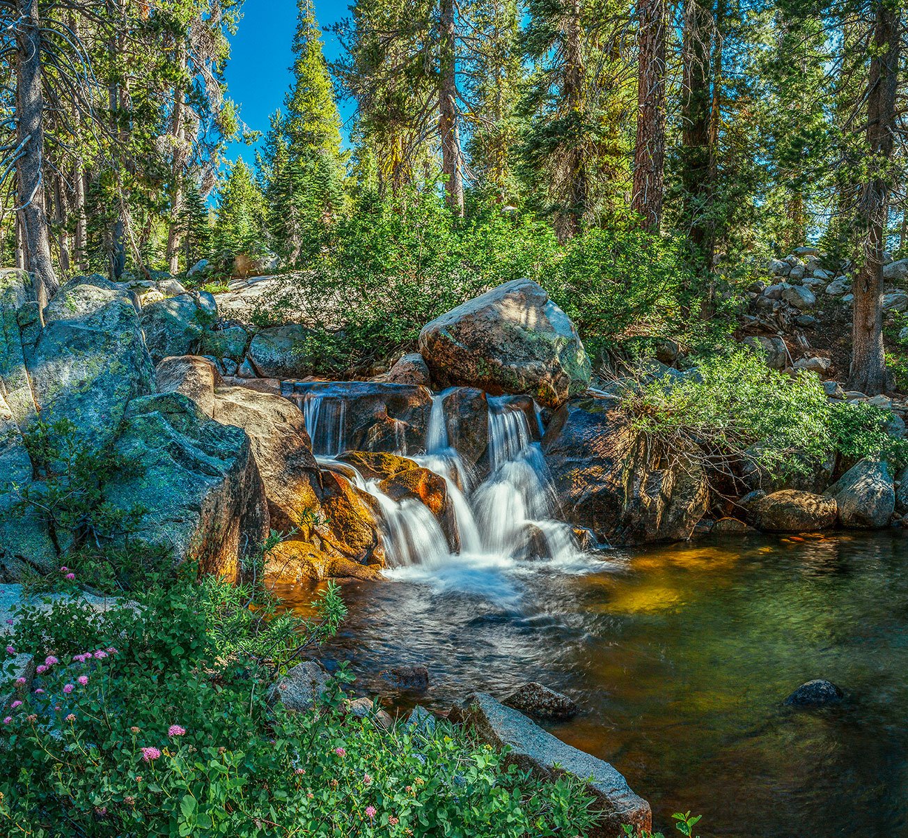 Kevin_Layton_HWY_4_0042.jpg