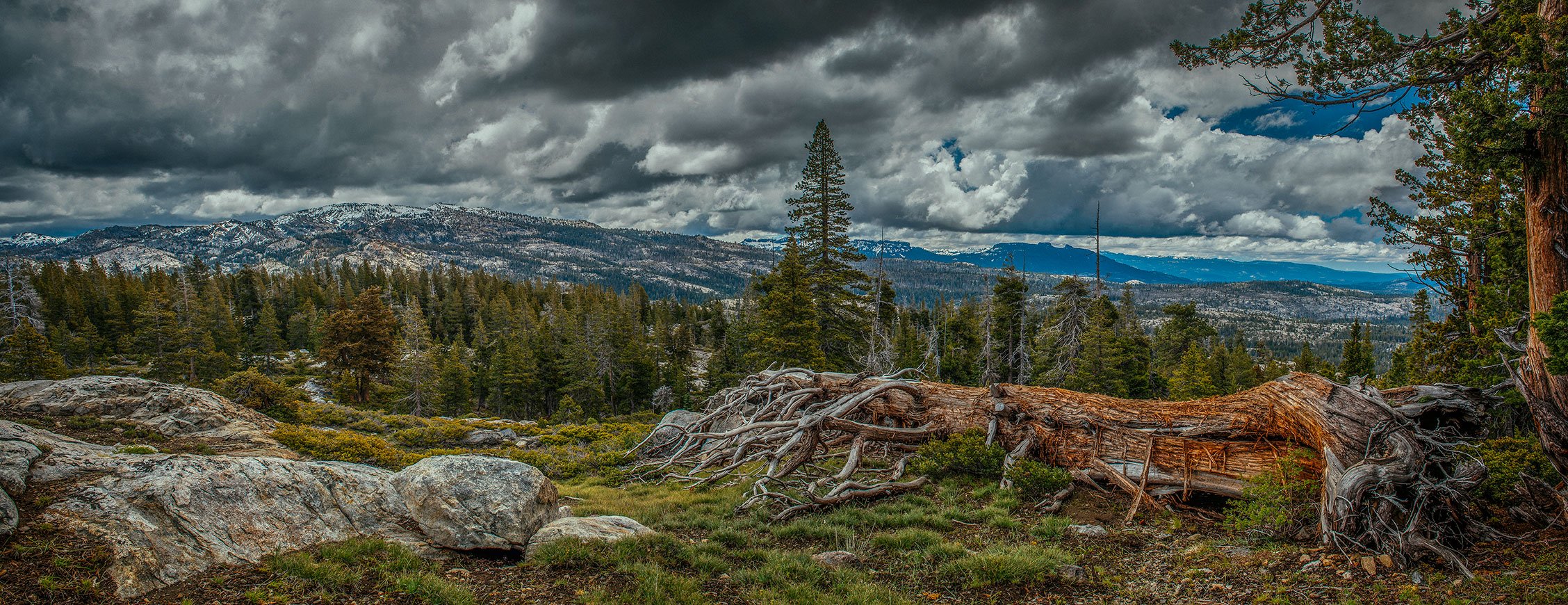 Kevin_Layton_HWY_4_0036.jpg