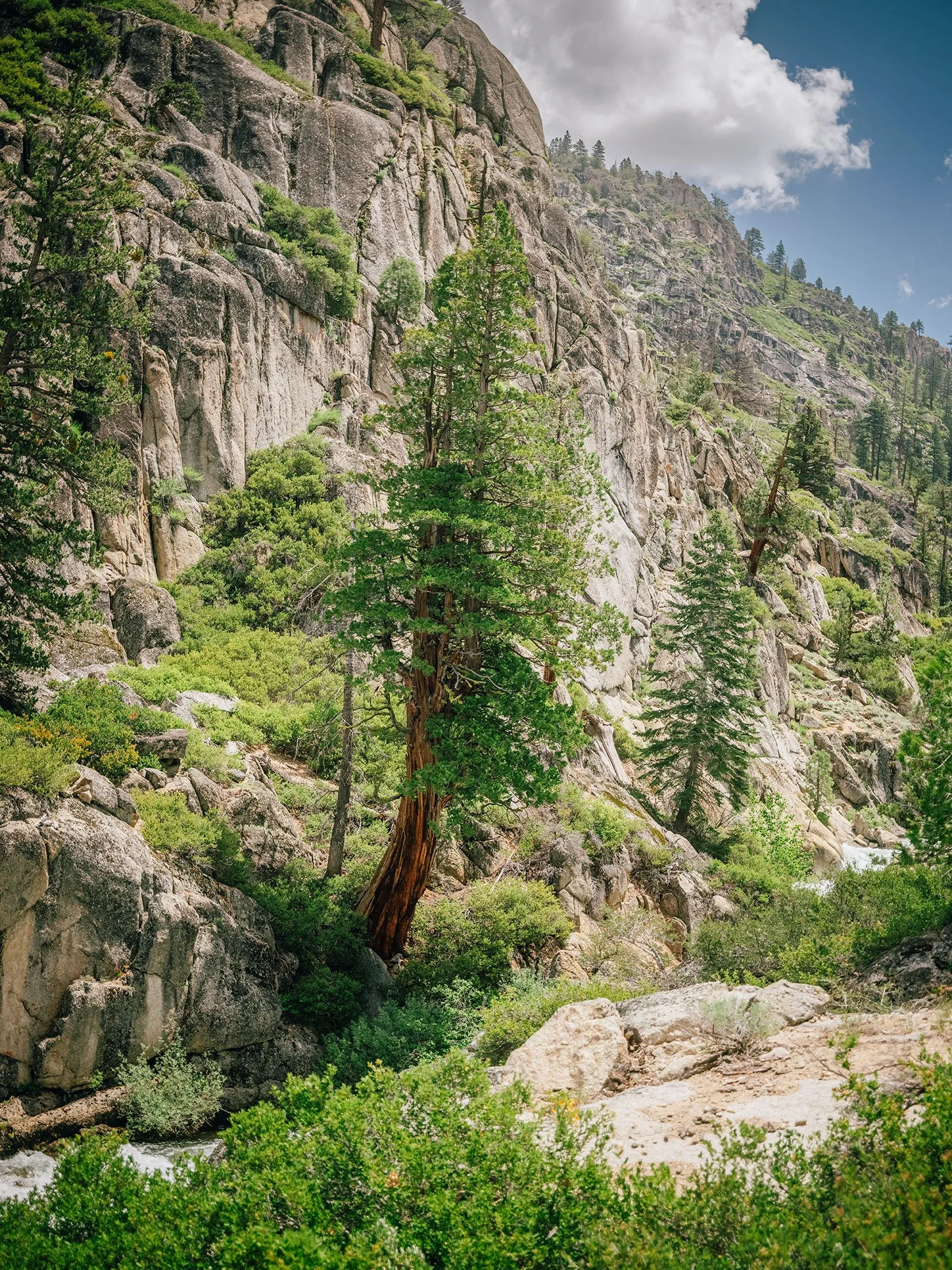 Kevin_Layton_HWY_108_0416.jpg