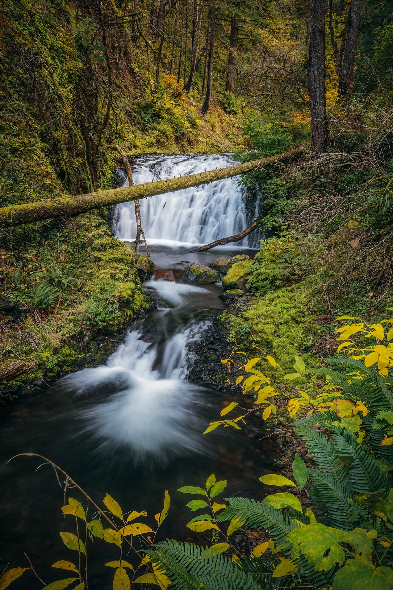 Kevin_Layton_Columbia_River_Gorge_0016.jpg