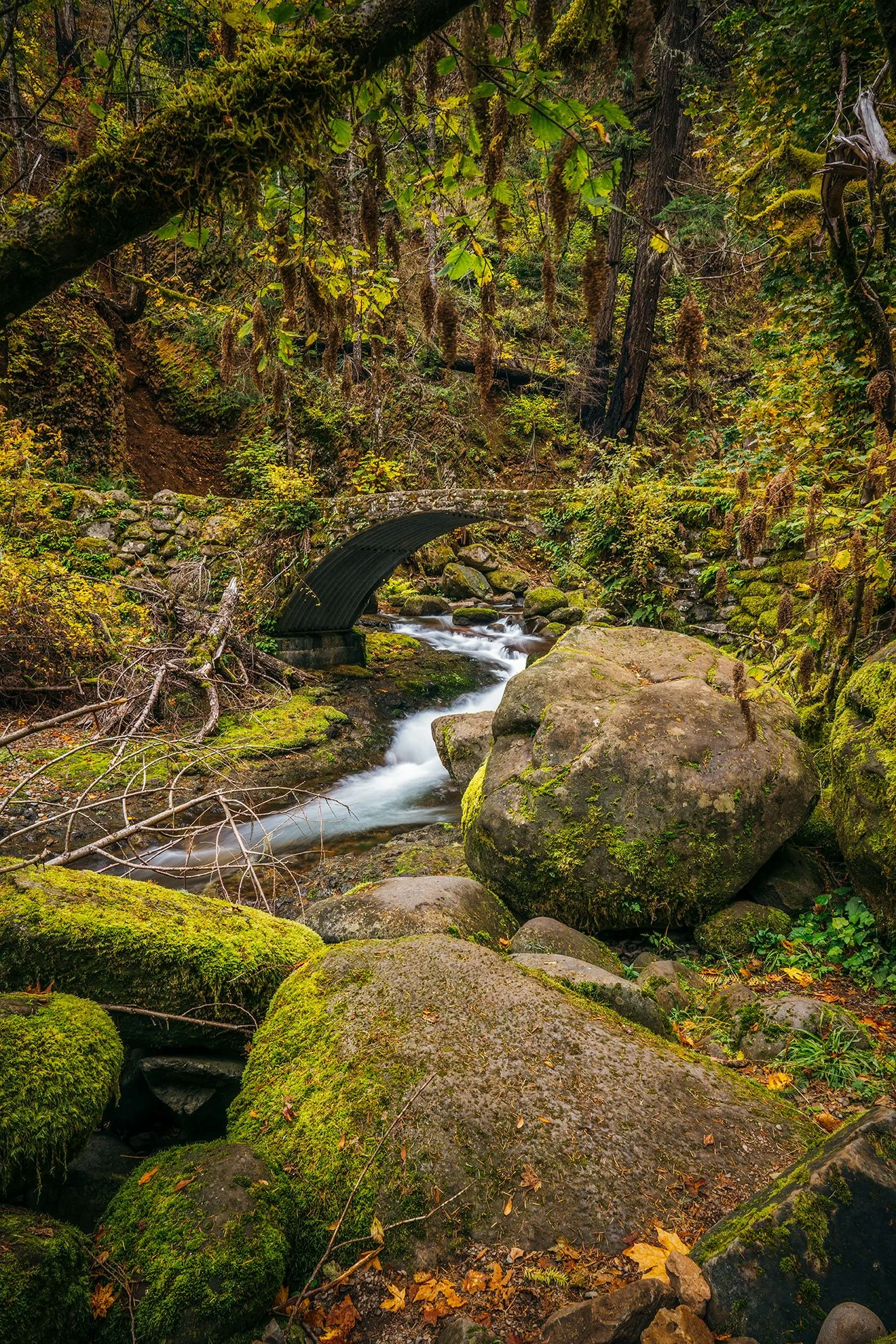 Kevin_Layton_Columbia_River_Gorge_0009.jpg
