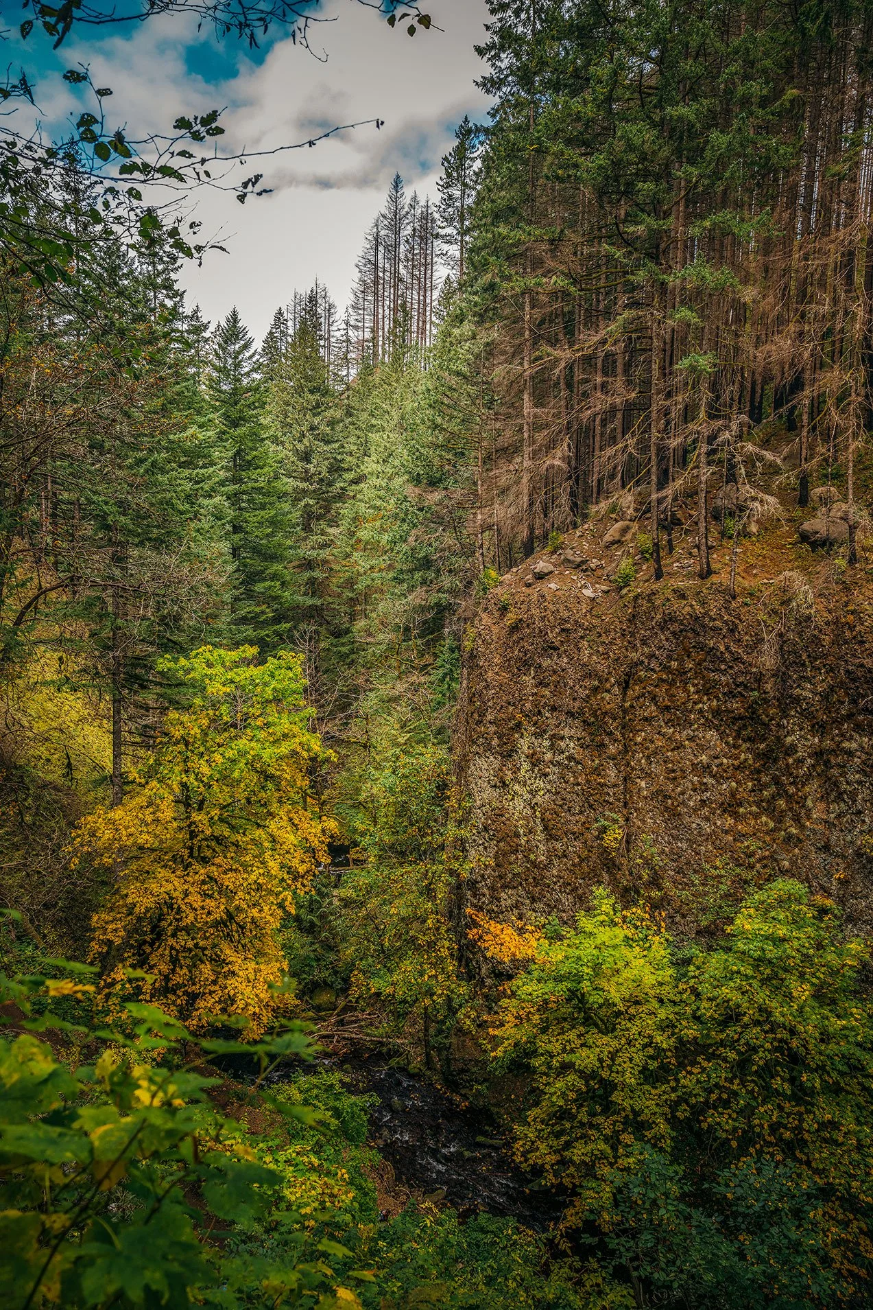 Kevin_Layton_Columbia_River_Gorge_0032.jpg