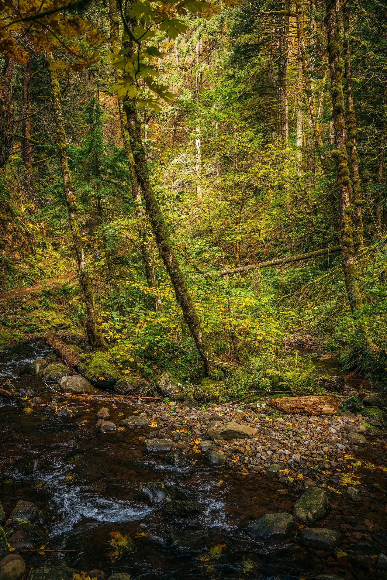 Kevin_Layton_Columbia_River_Gorge_0034.jpg