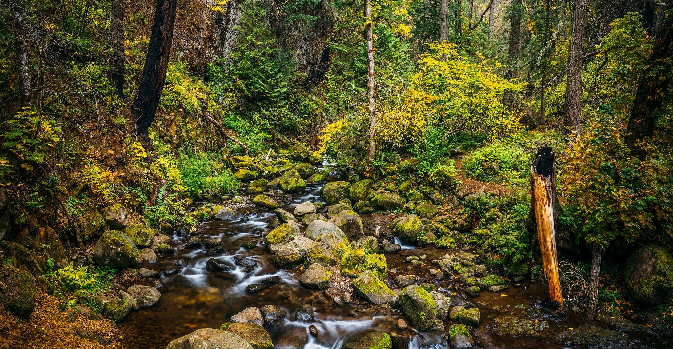 Kevin_Layton_Columbia_River_Gorge_0036.jpg