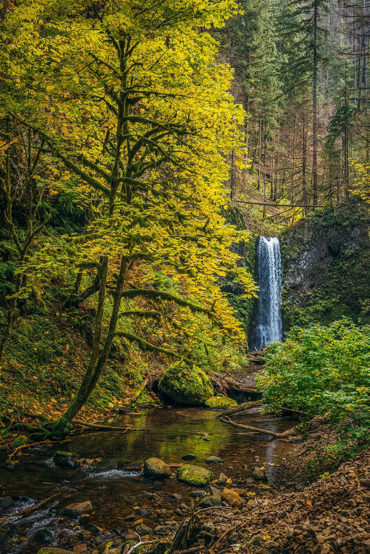 Kevin_Layton_Columbia_River_Gorge_0033.jpg