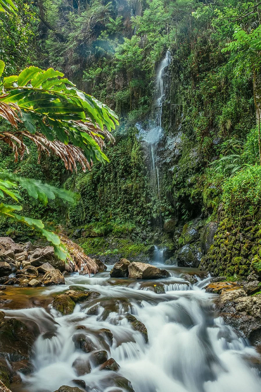 Kevin_Layton_Maui_0041.jpg