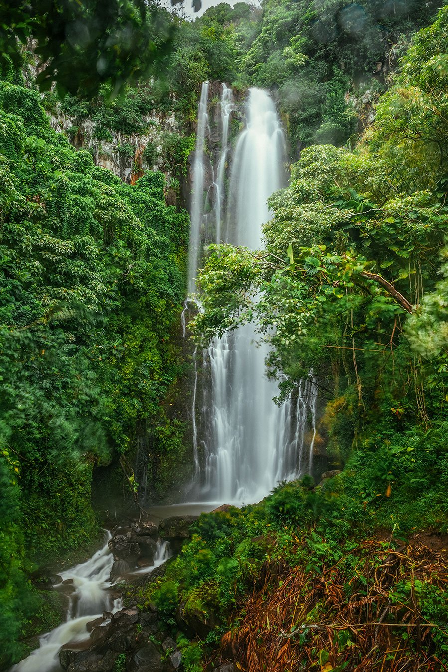 Kevin_Layton_Maui_0043.jpg
