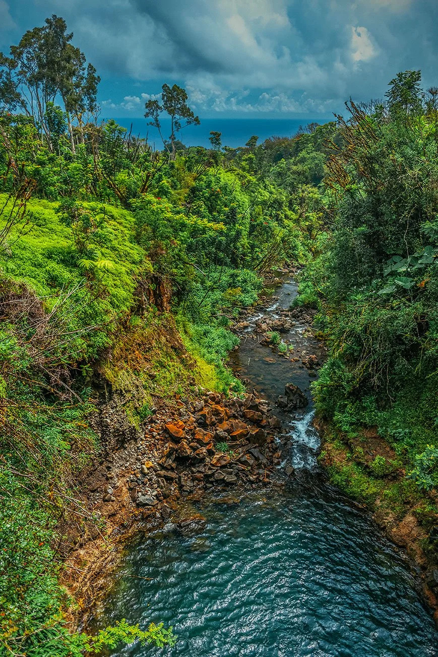 Kevin_Layton_Maui_0044.jpg