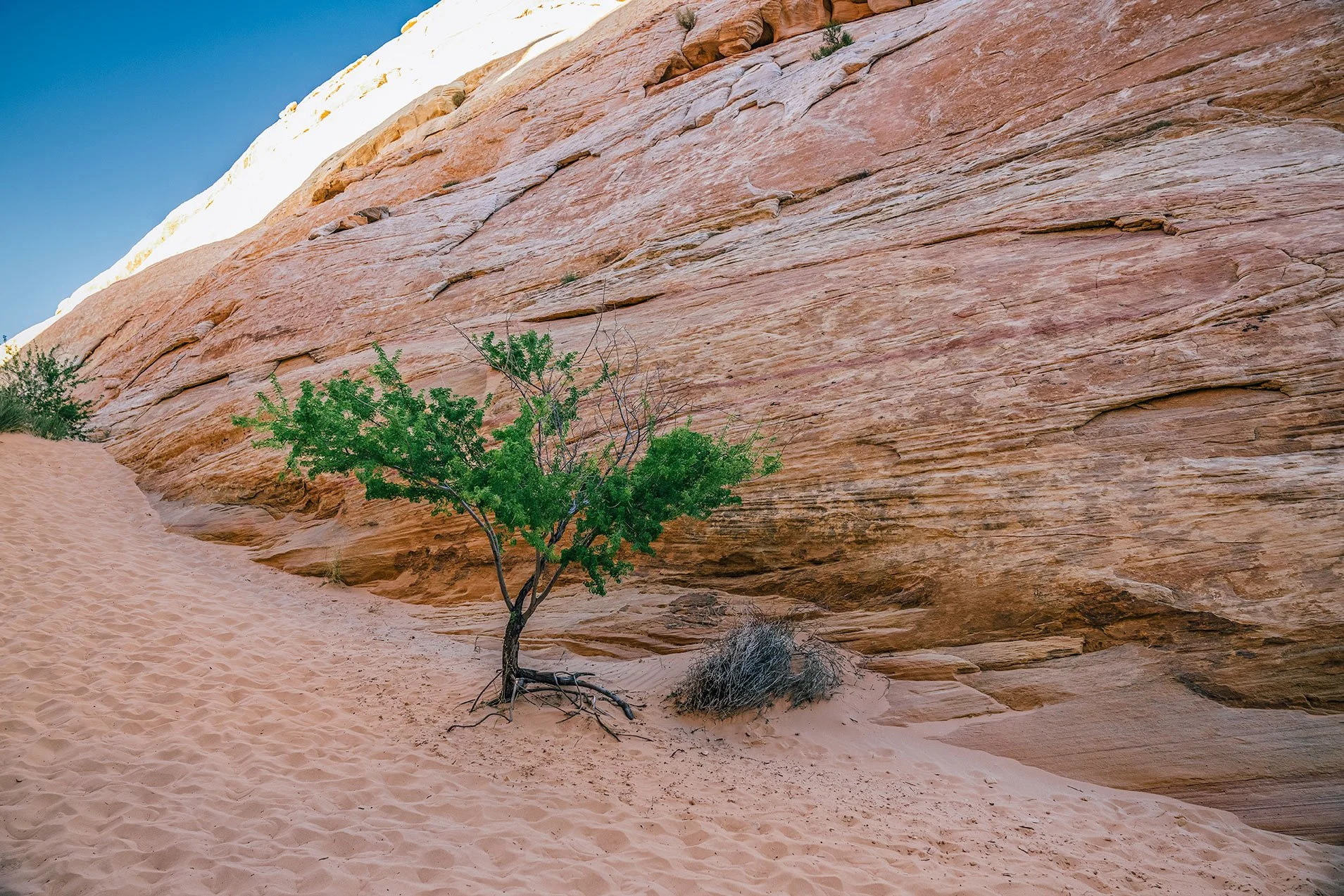 Kevin_Layton_Valley_Of_Fire_0011.jpg