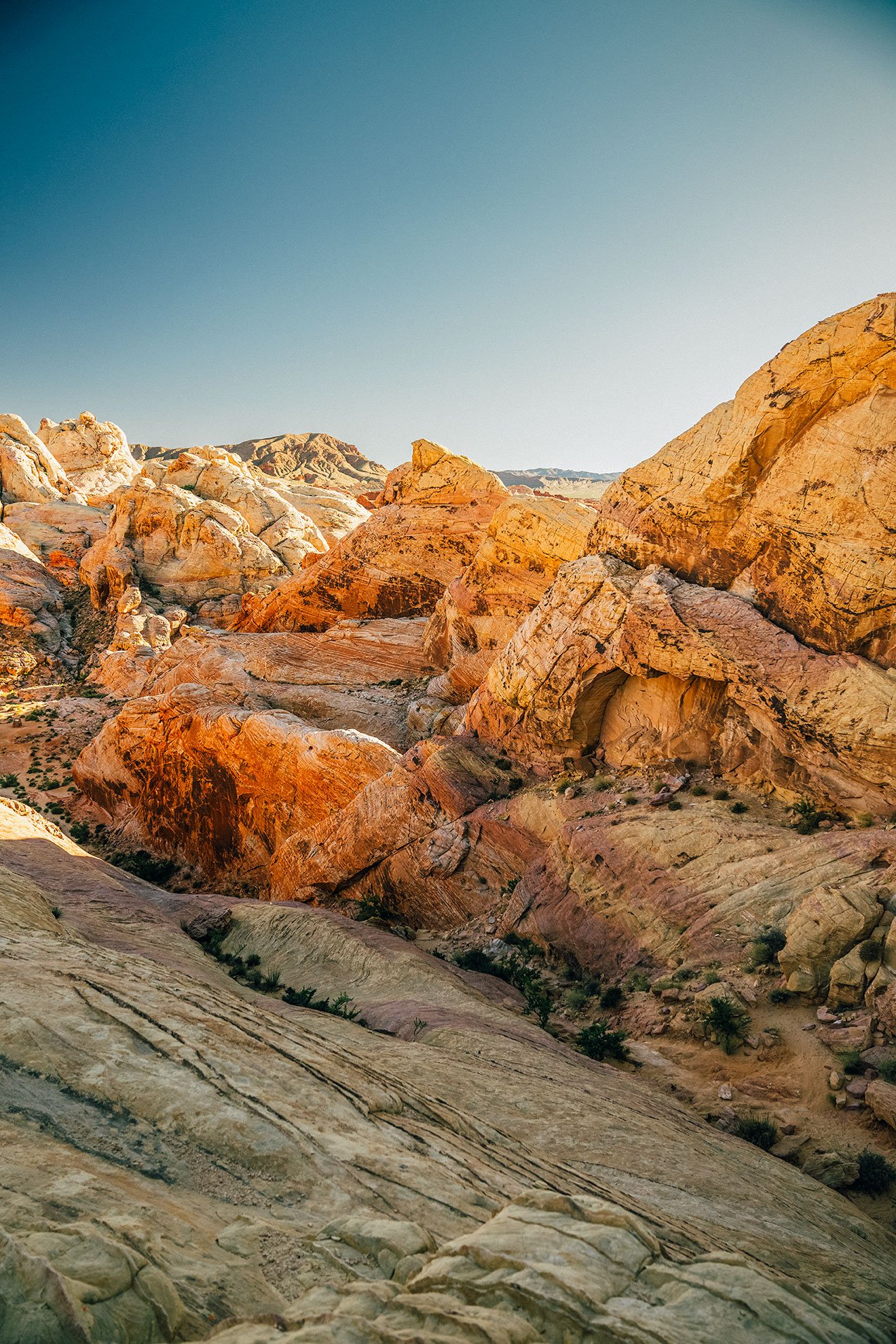 Kevin_Layton_Valley_Of_Fire_0012.jpg