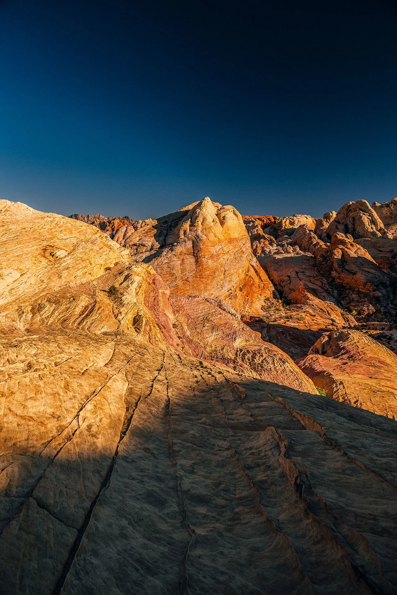Kevin_Layton_Valley_Of_Fire_0014.jpg