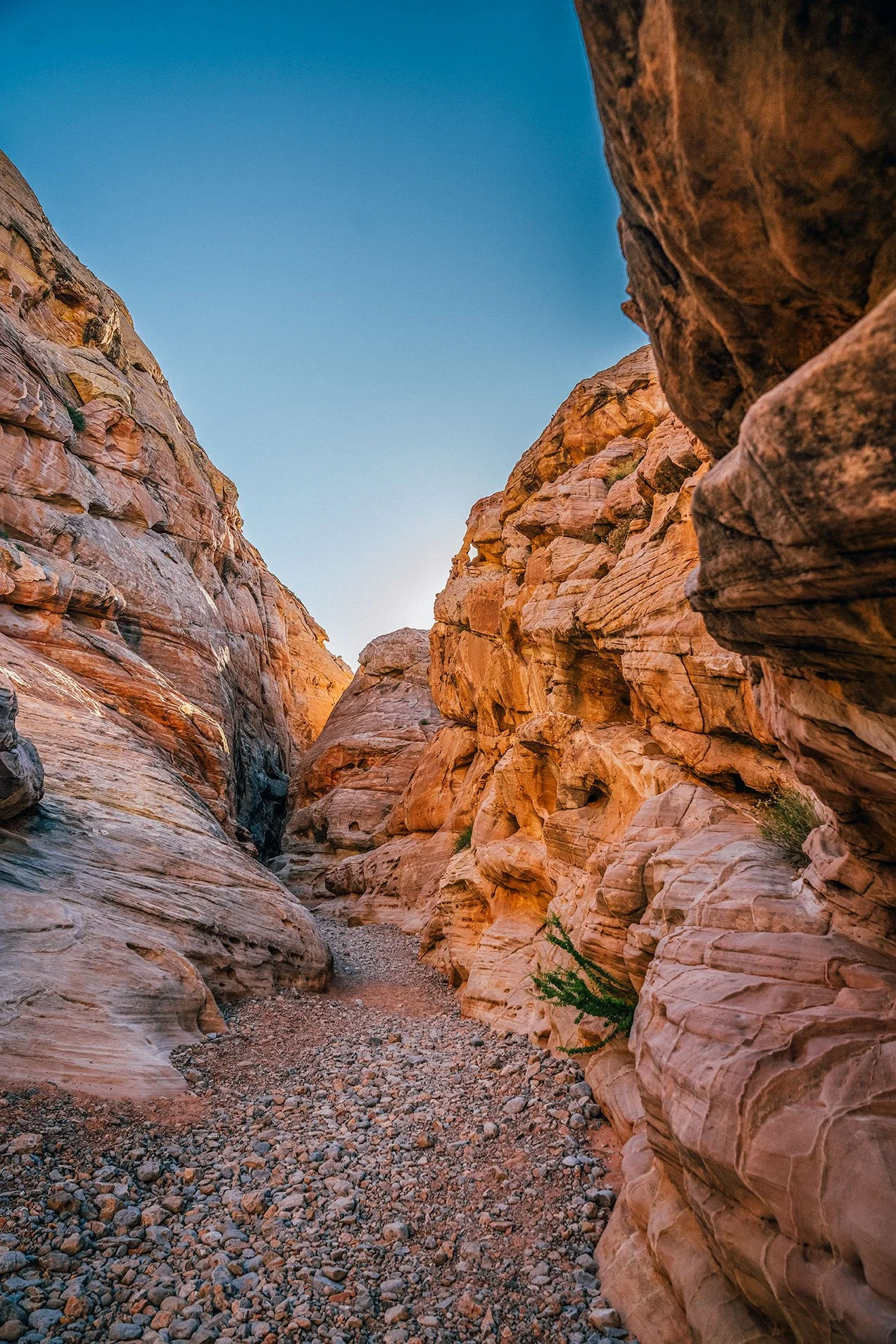 Kevin_Layton_Valley_Of_Fire_0024.jpg