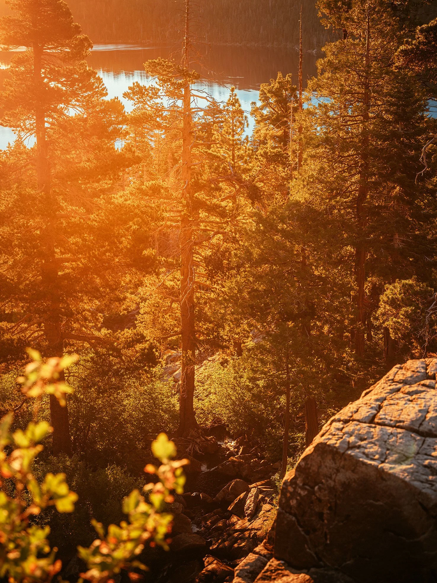 Kevin_Layton_Lake_Tahoe_0011.jpg