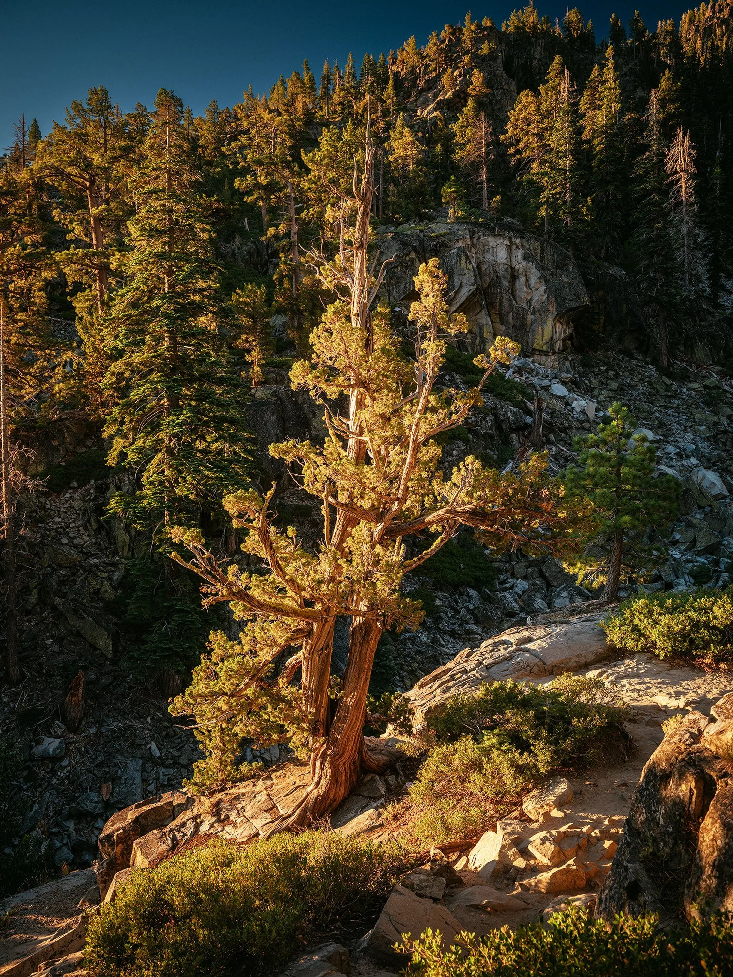 Kevin_Layton_Lake_Tahoe_0019.jpg