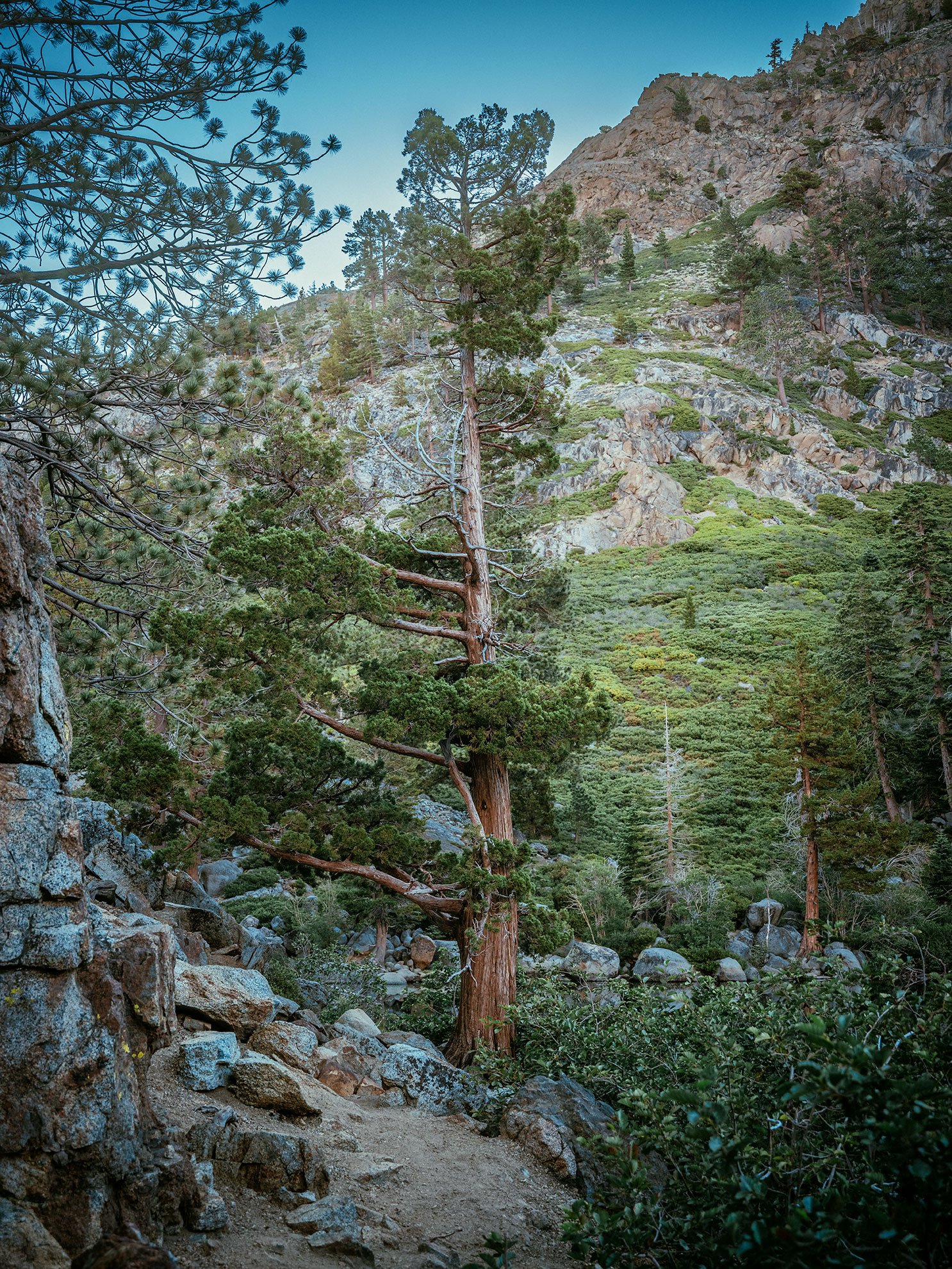 Kevin_Layton_Lake_Tahoe_0105.jpg